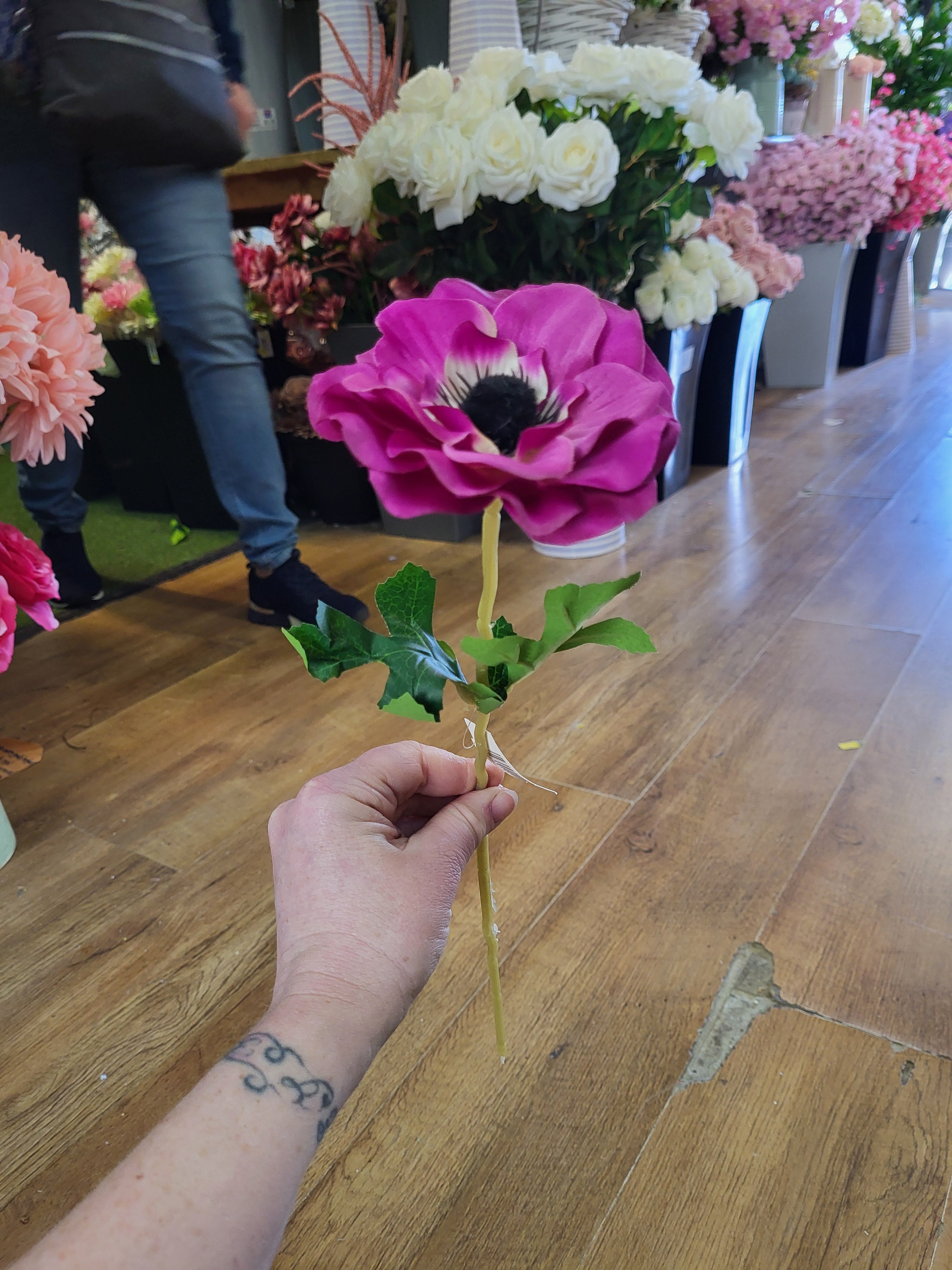 Single cerise anemone  image 2