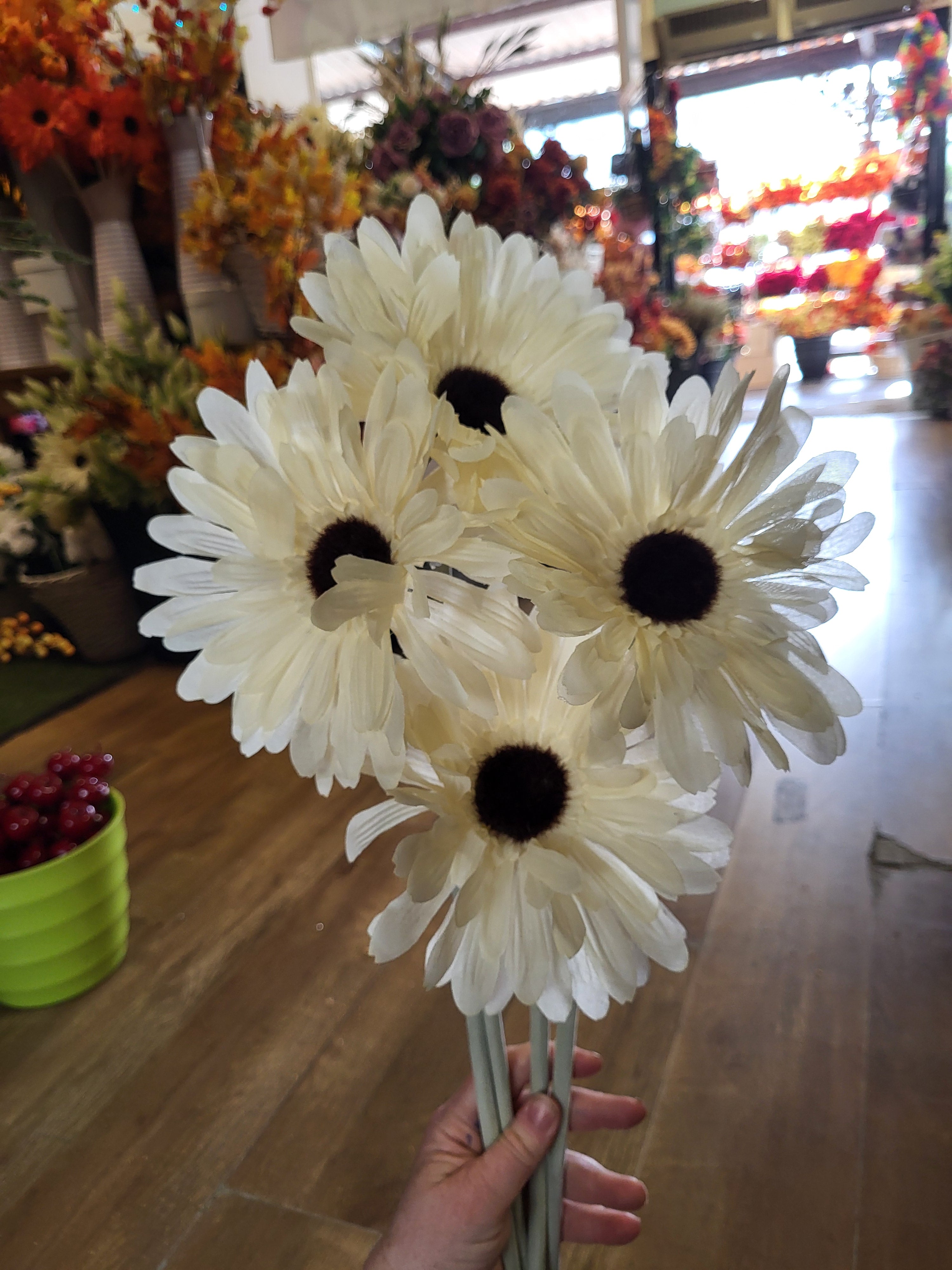 Bundle of 4 cream Long stem giant head gerbera image 1