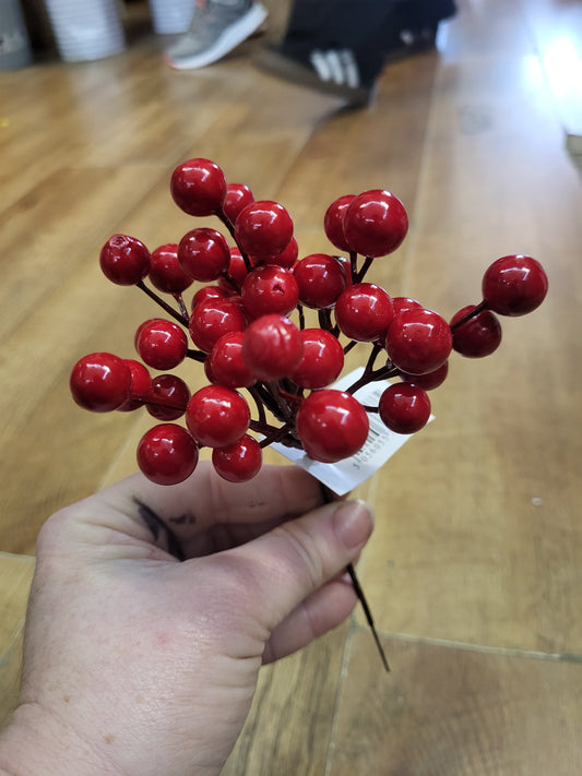 Red berry pick image 0
