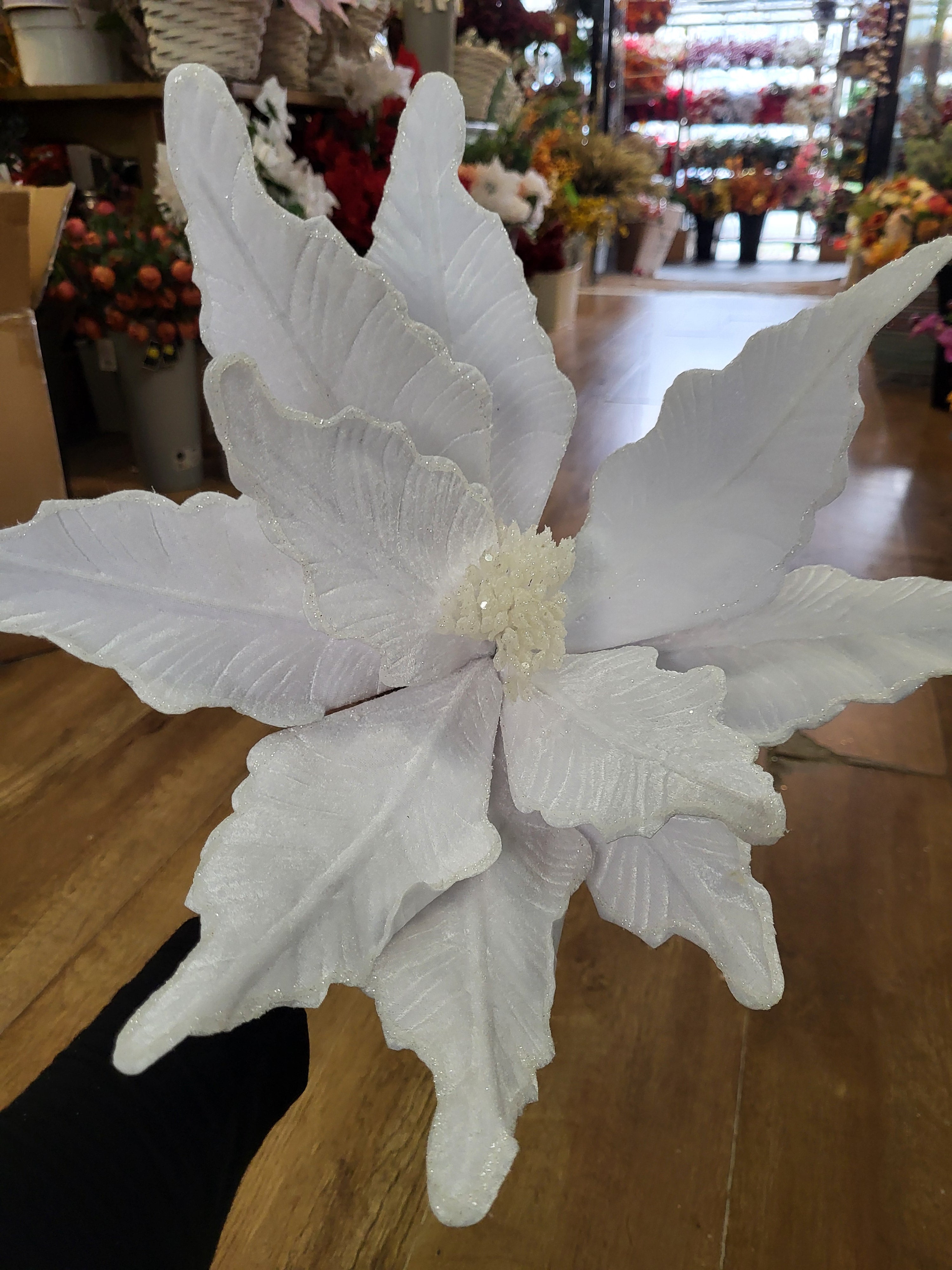 Luxury 50cm white velvet with glittered edge giant single poinsettia image 4