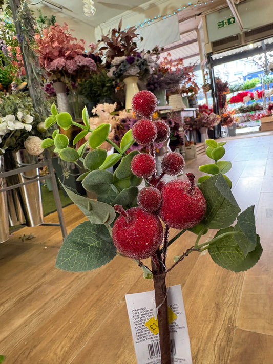 Frosted apple and berries pick