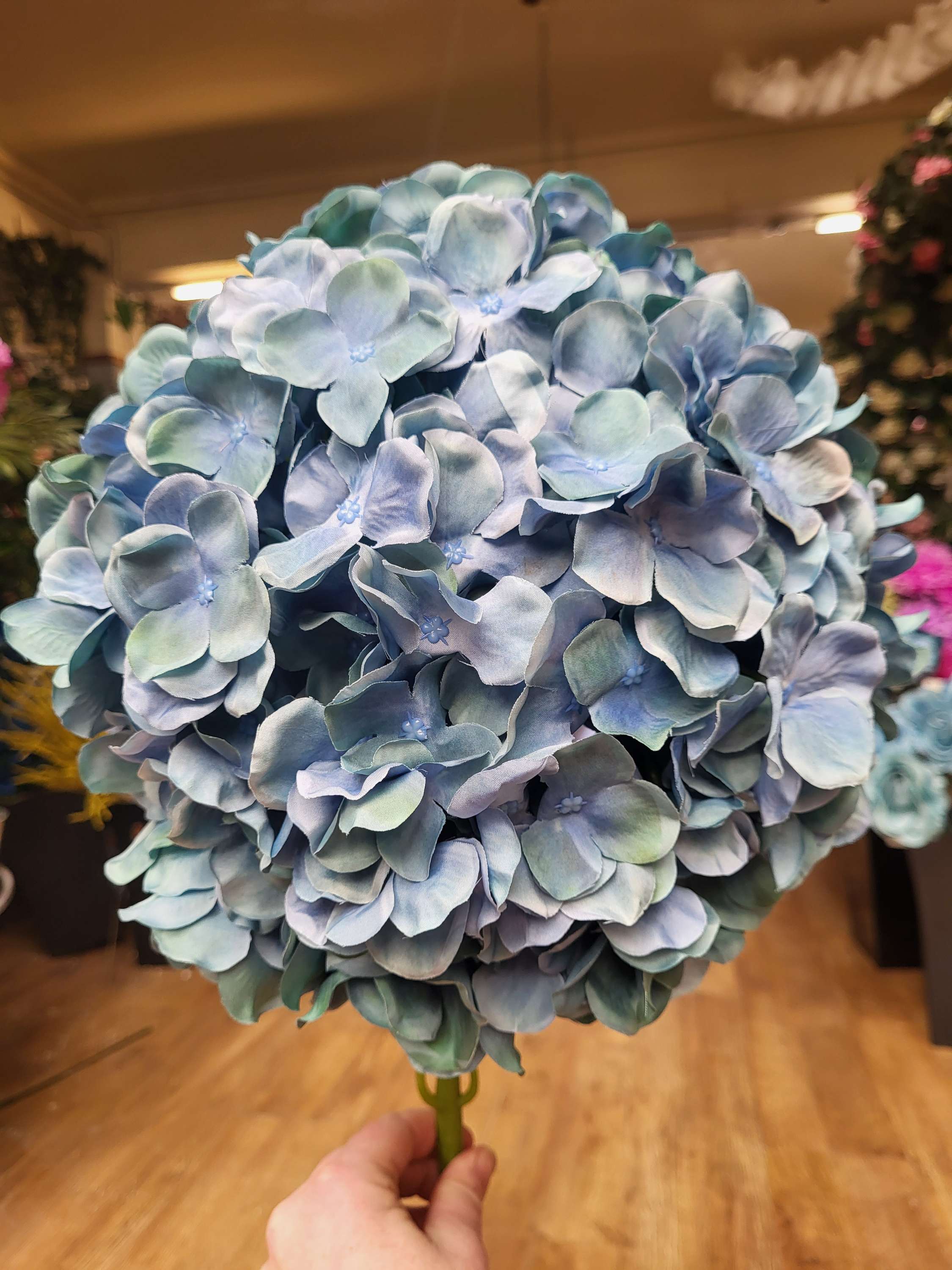 Giant head mixed blue/green premium hydrangea  image 4