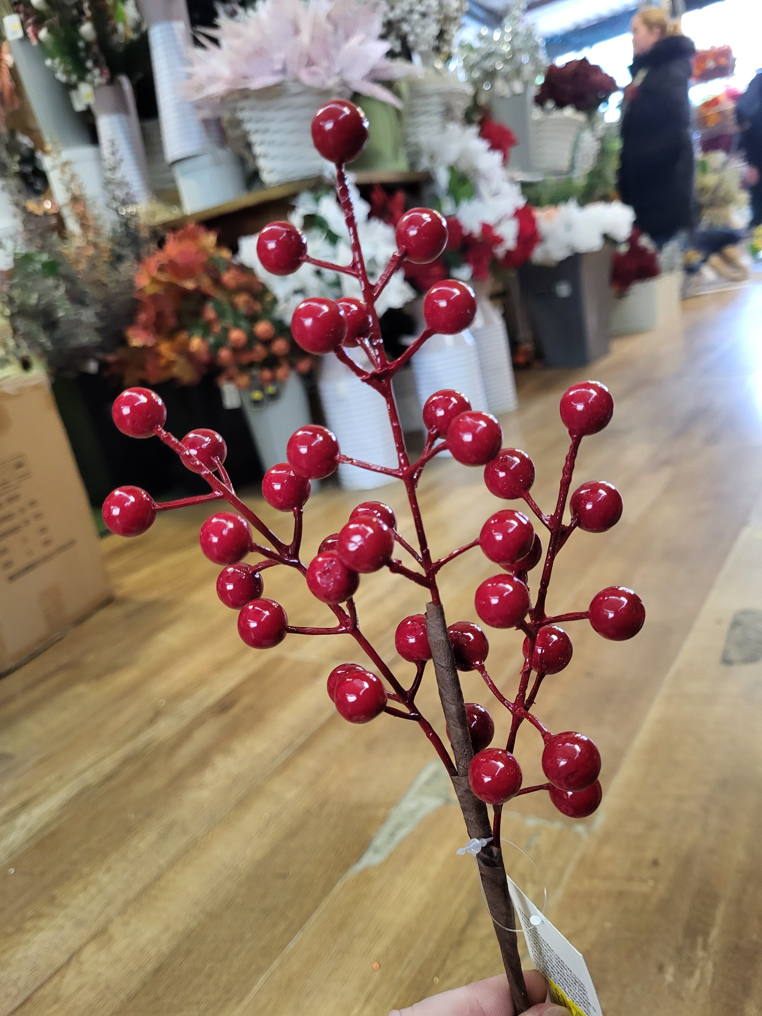 Small red berry branch  image 1