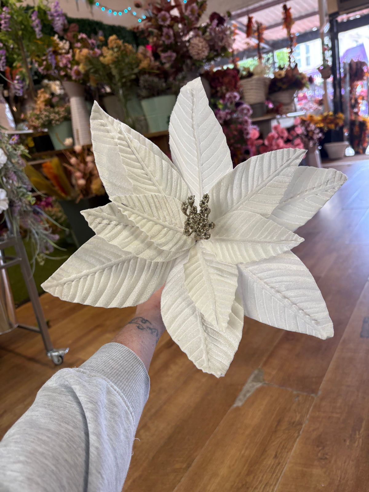 Large white velvet single poinsettia