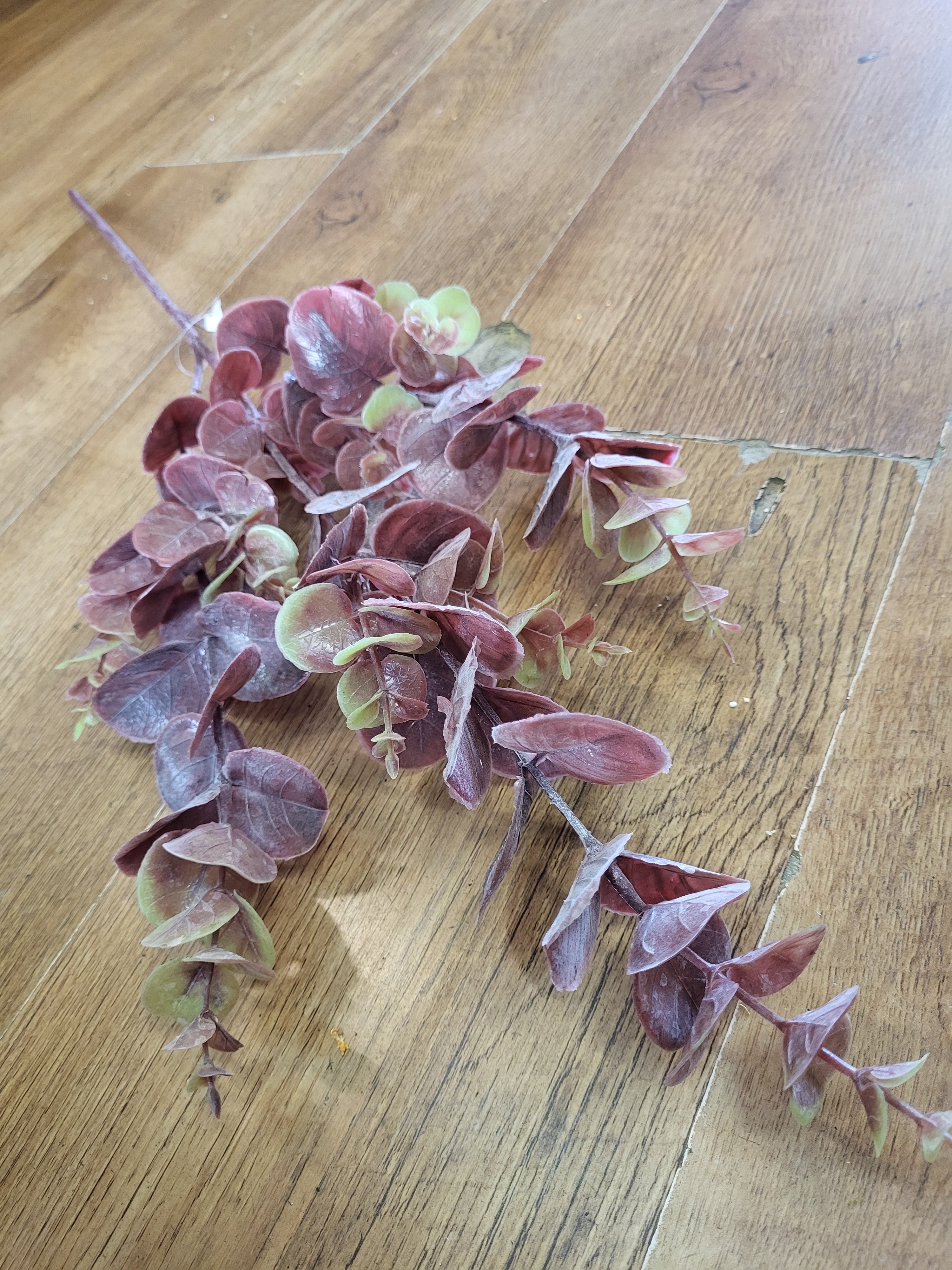 Long stem plastic Reddish brown eucalyptus spray  image 1