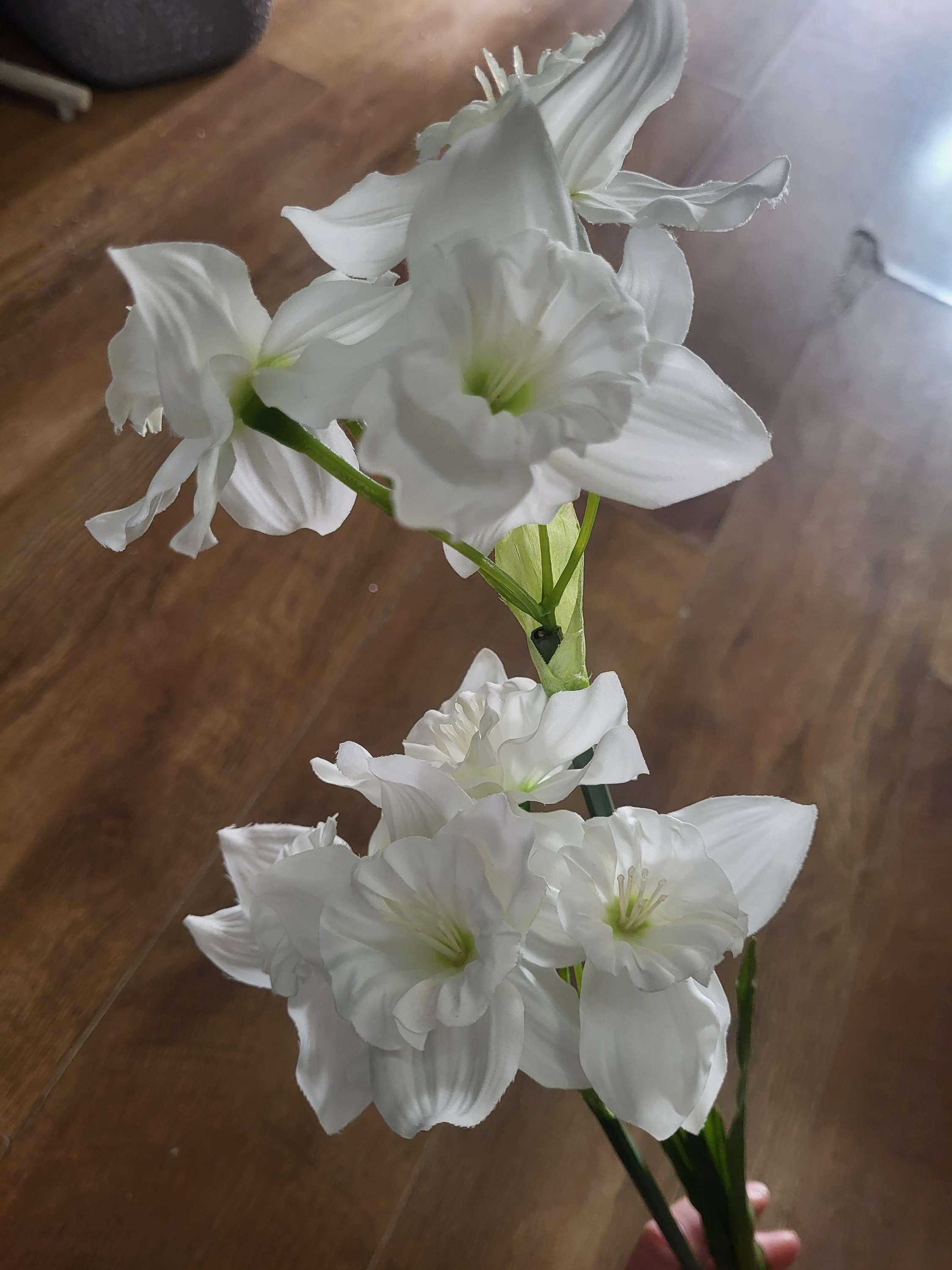 Long stem white ruffled daffodil spray image 5