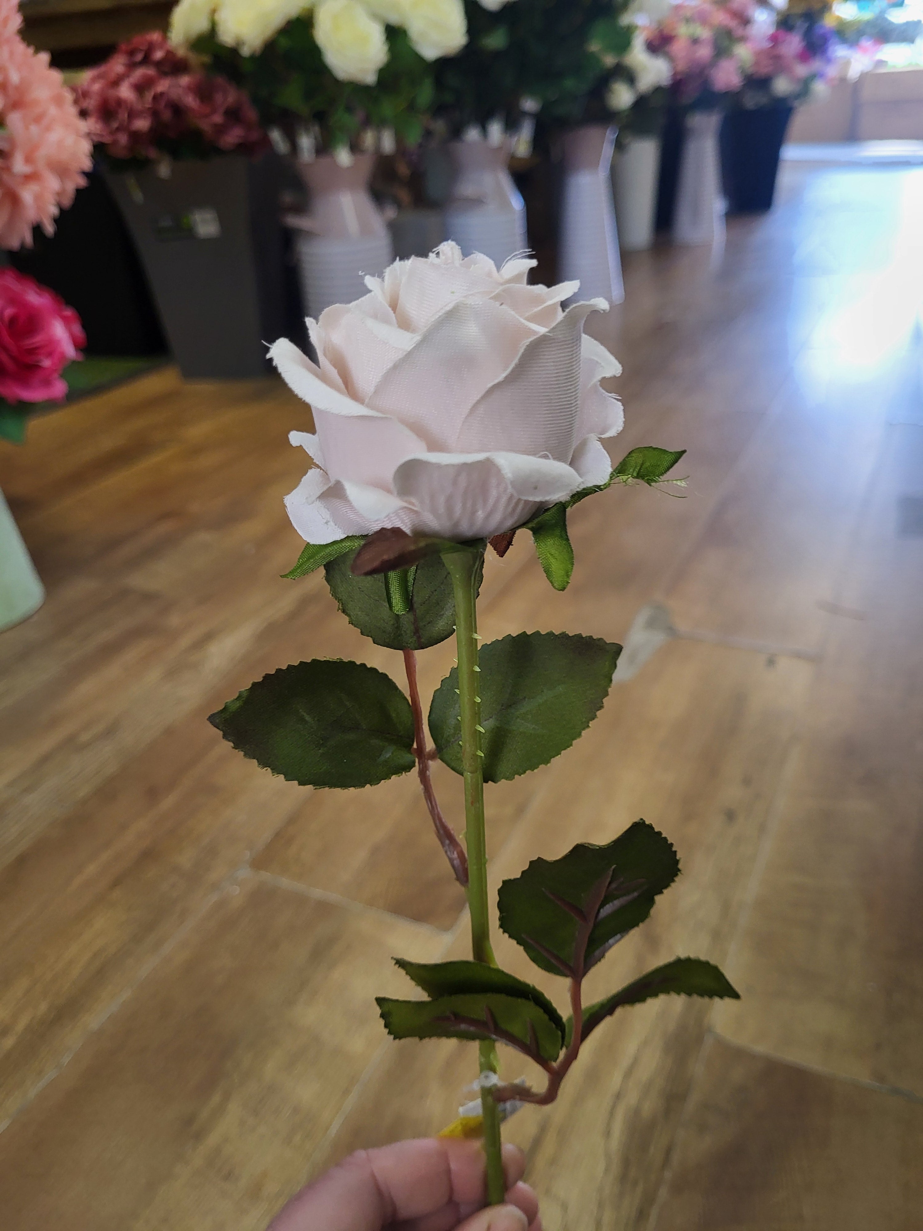 Nude Amira Rose stem image 3