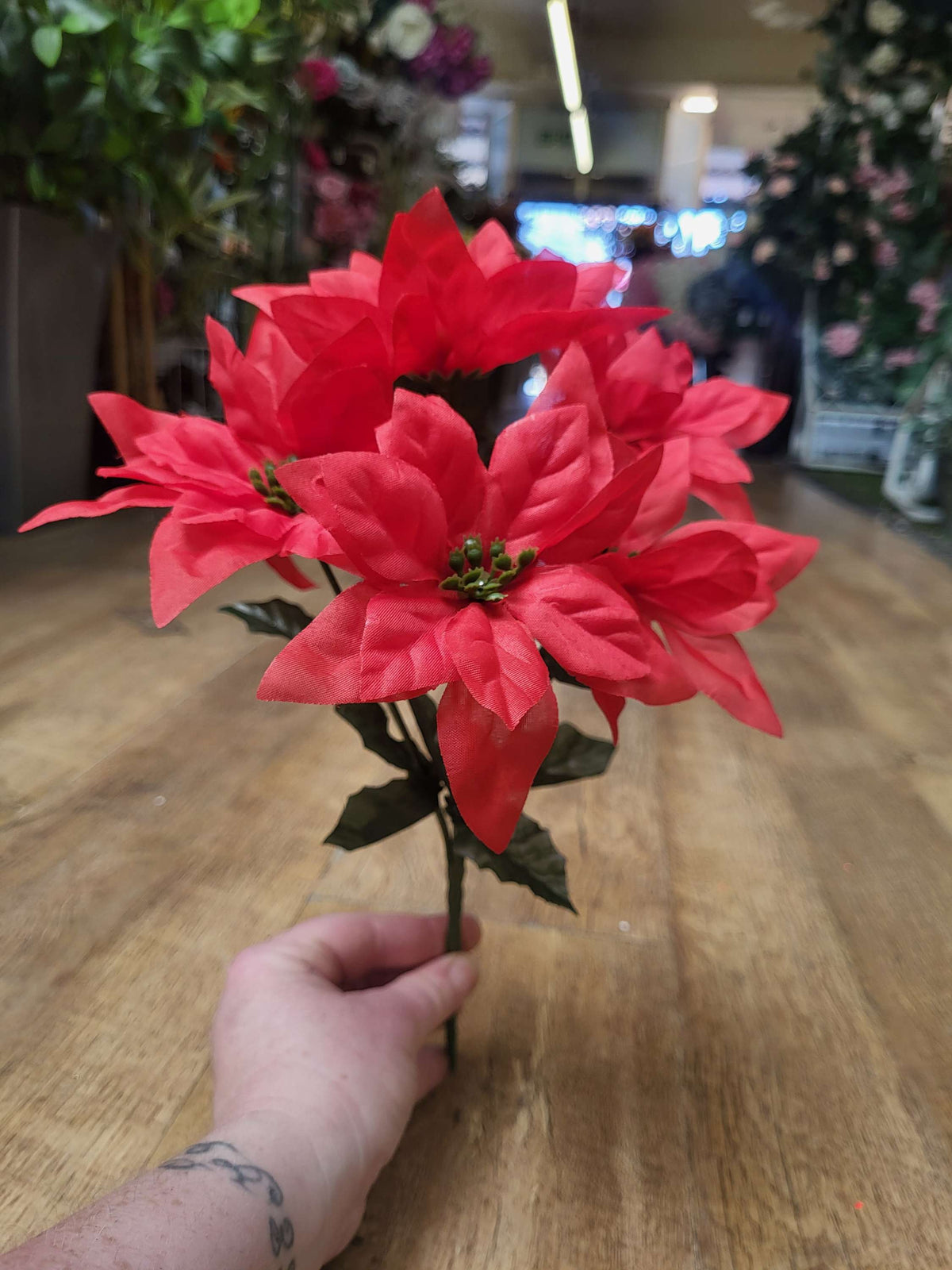 Red poinsettia bunch image 0