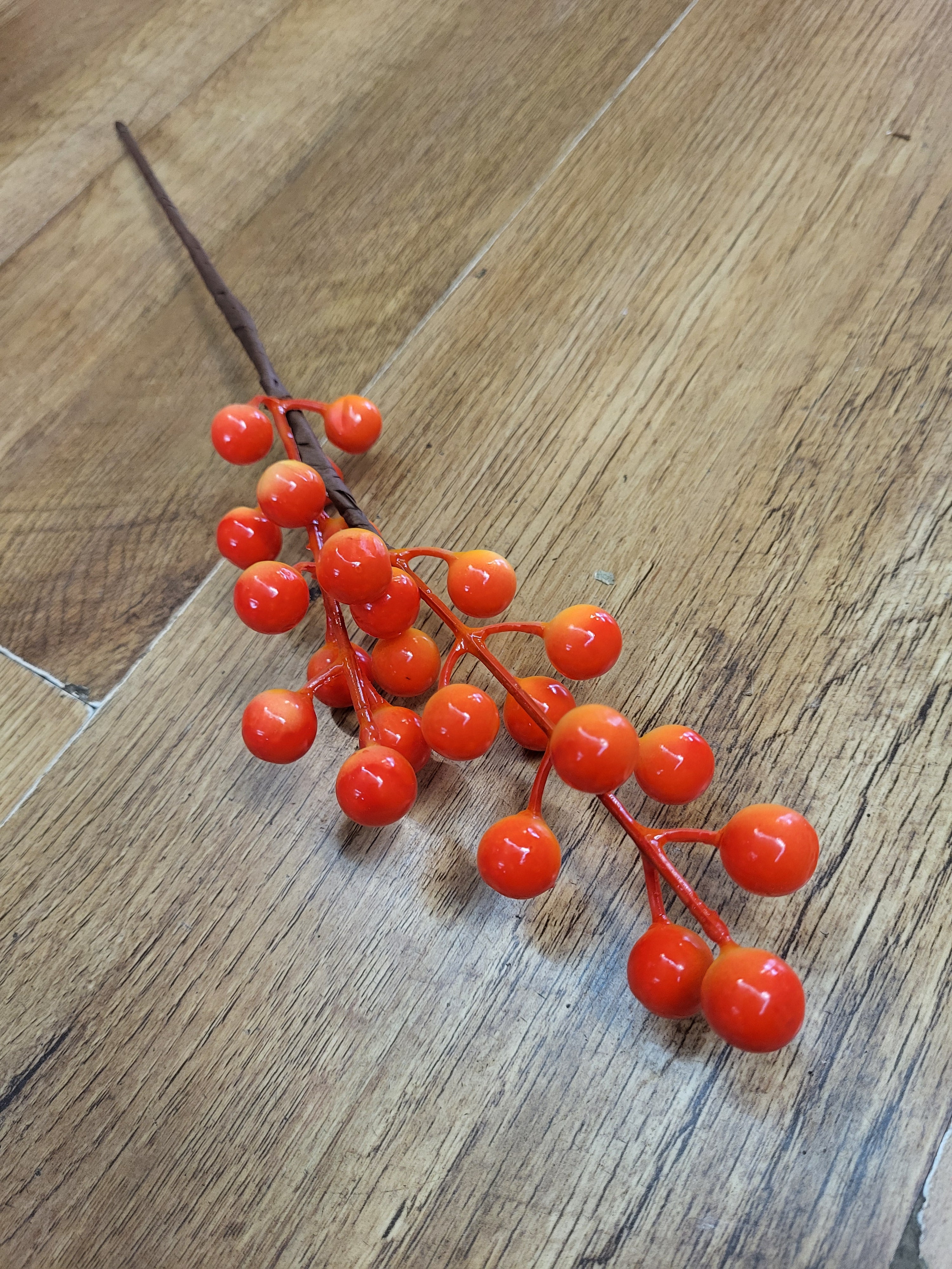 Orange berry pick image 0