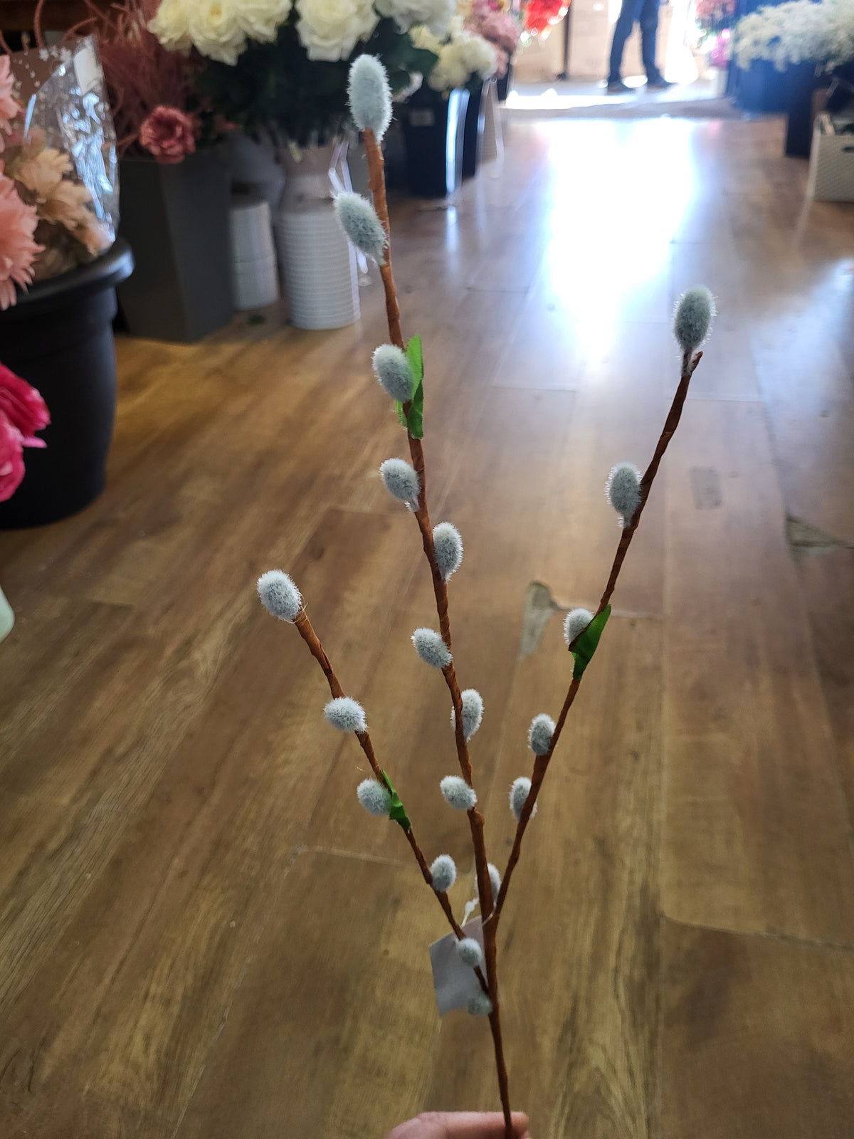 Long stem willow branch image 2