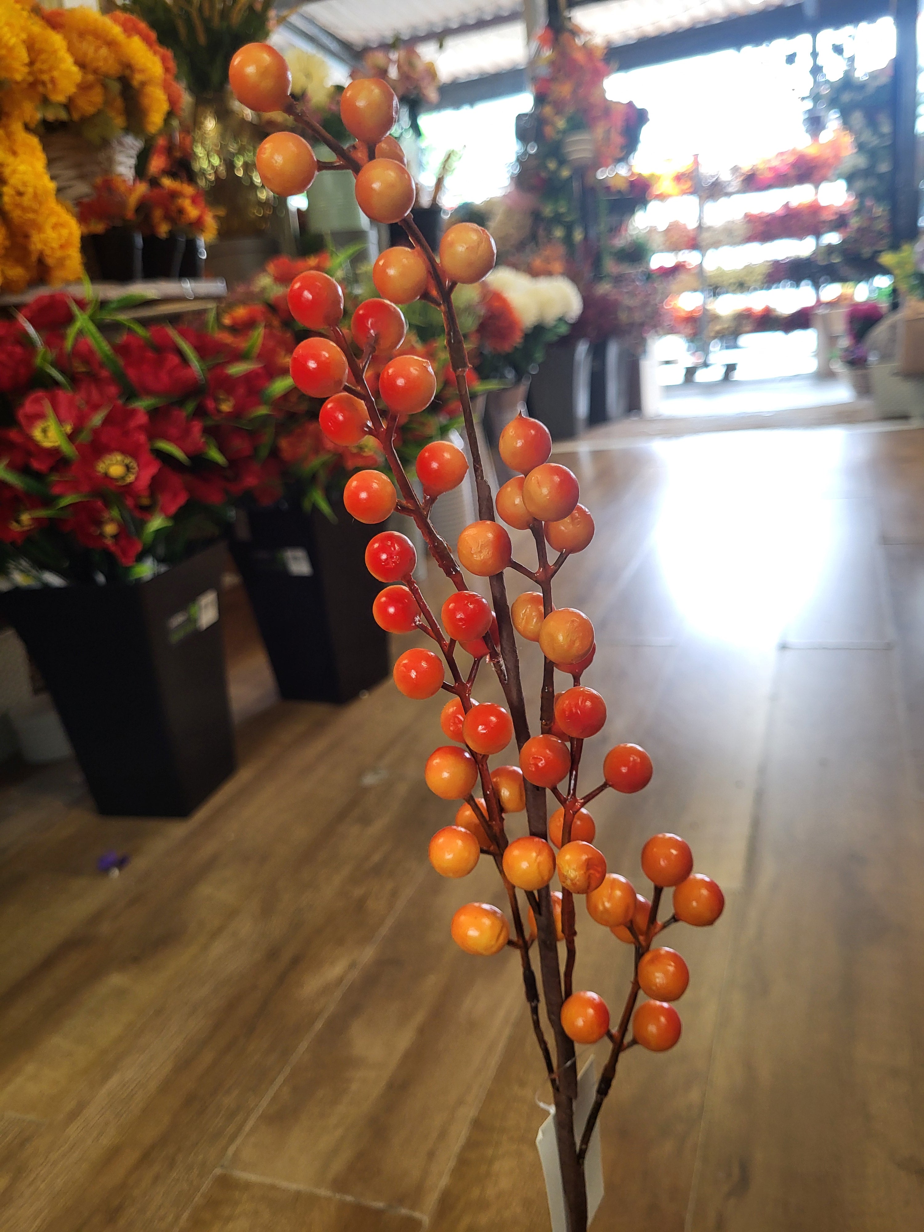 Orange berry stem image 3