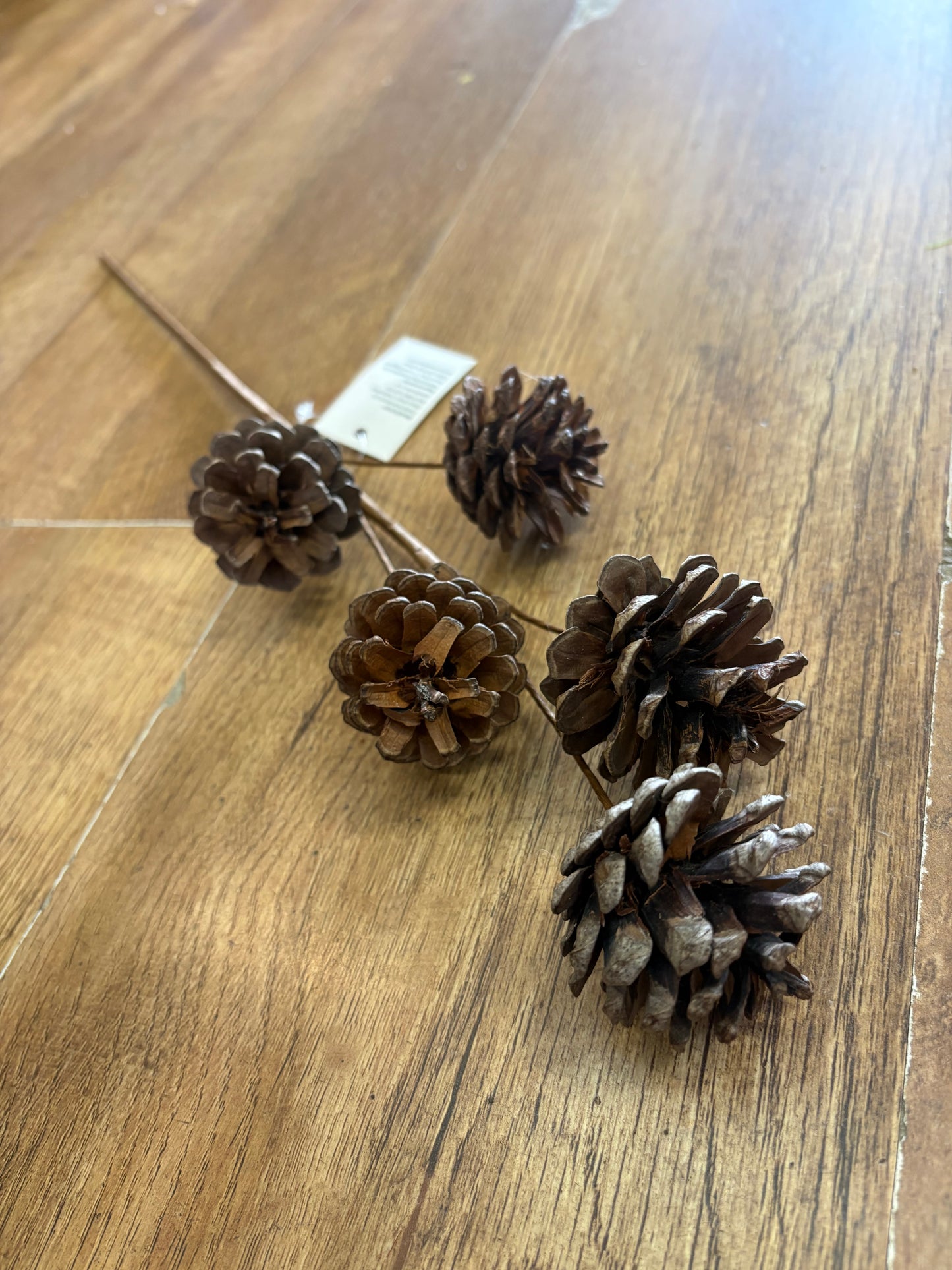 Medium length natural cone stem