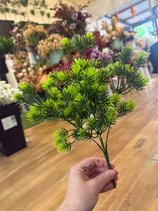 Mini pine bunch