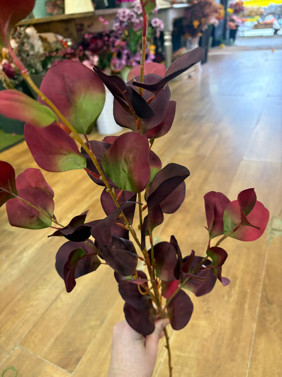 90cm tall burgundy and green silver dollar eucalyptus spray