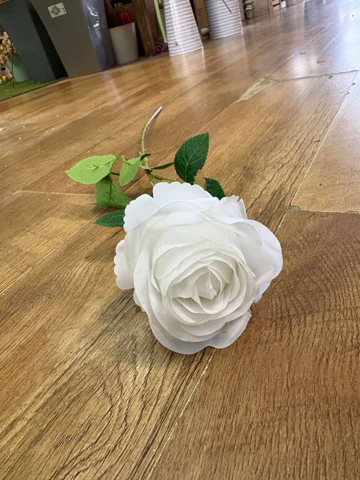 Long stem white harper rose