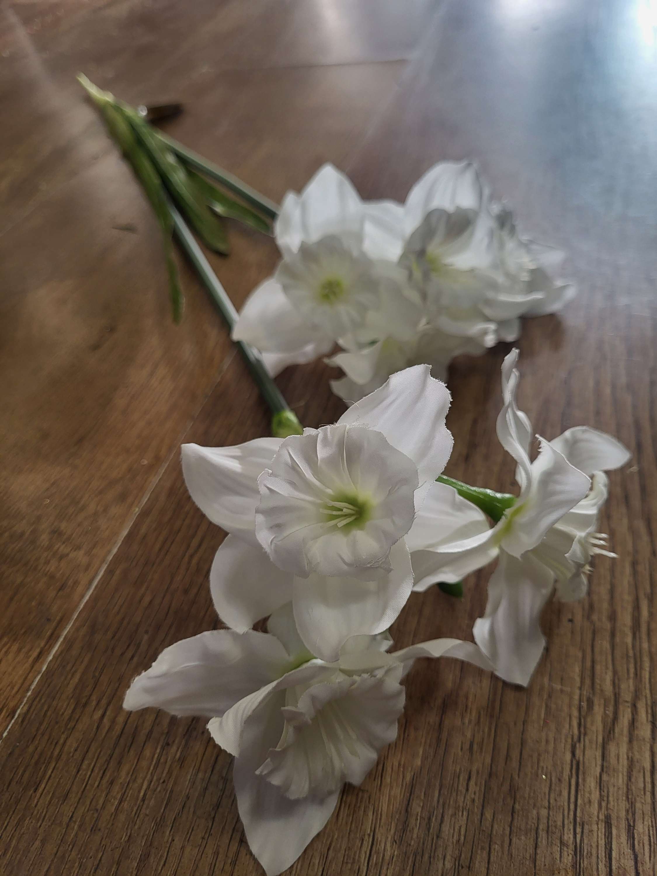 Long stem white ruffled daffodil spray image 3