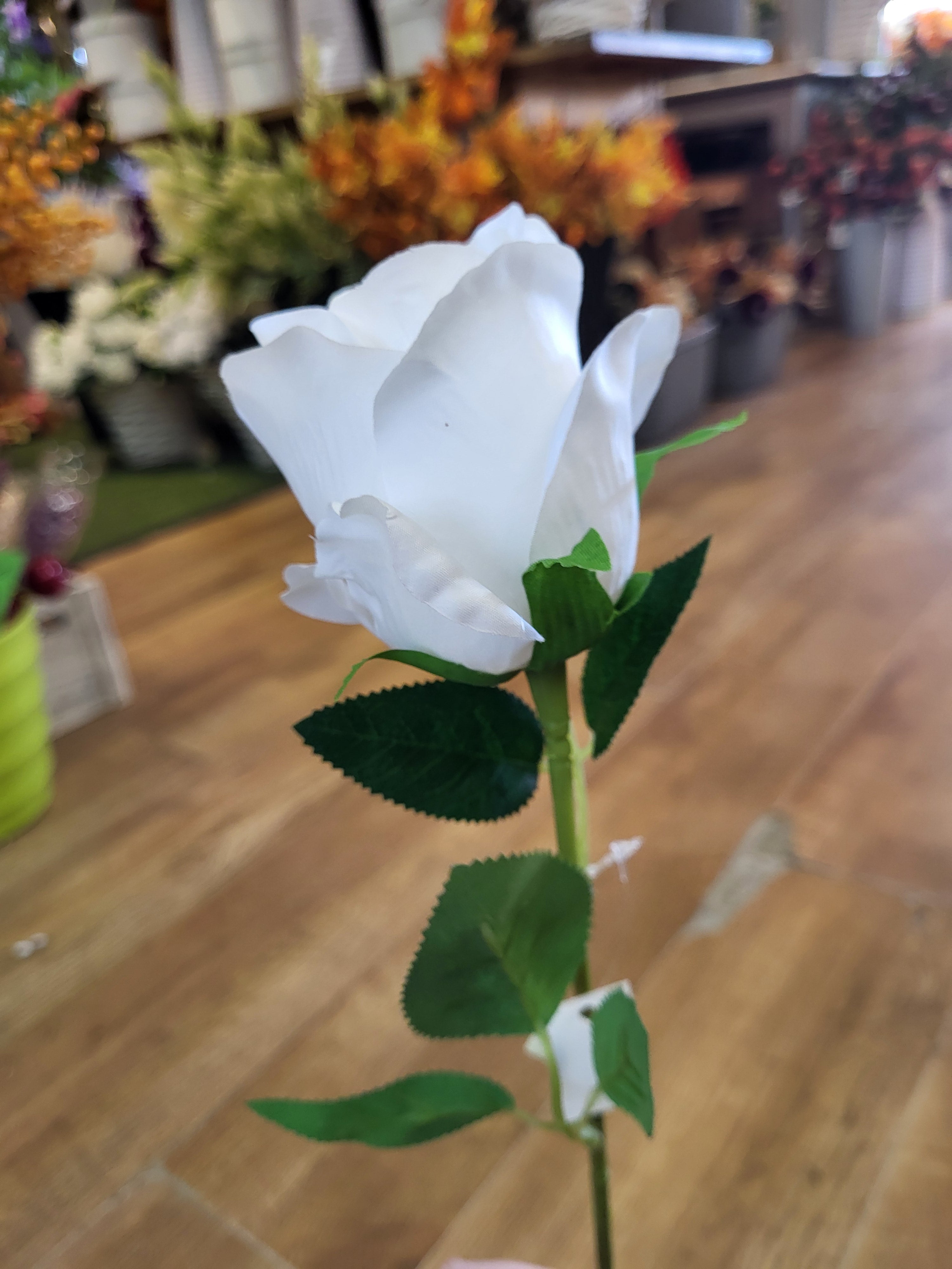 Single white Celia Rose  image 2