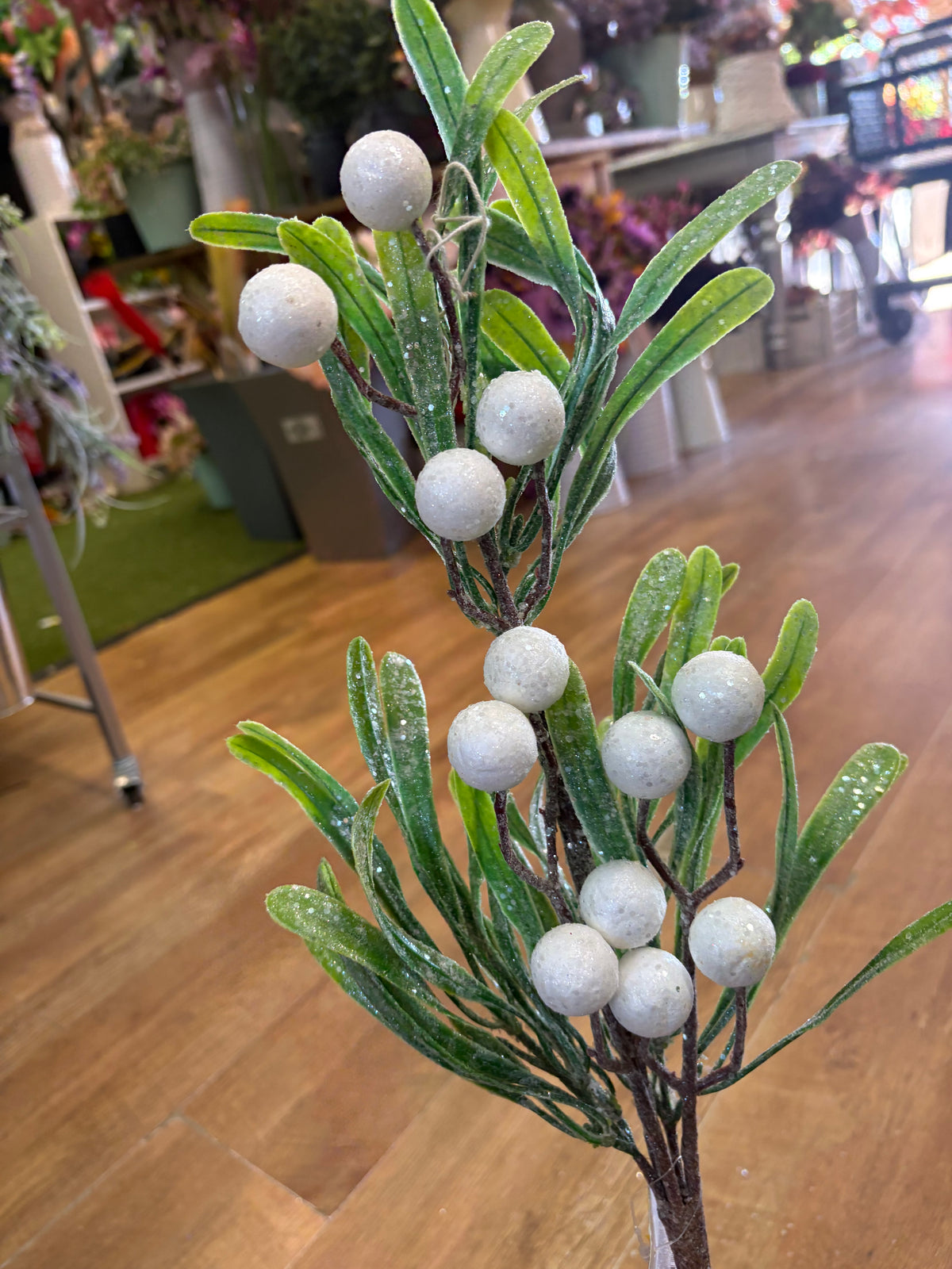 Long stem frosted large berries mistletoe stem