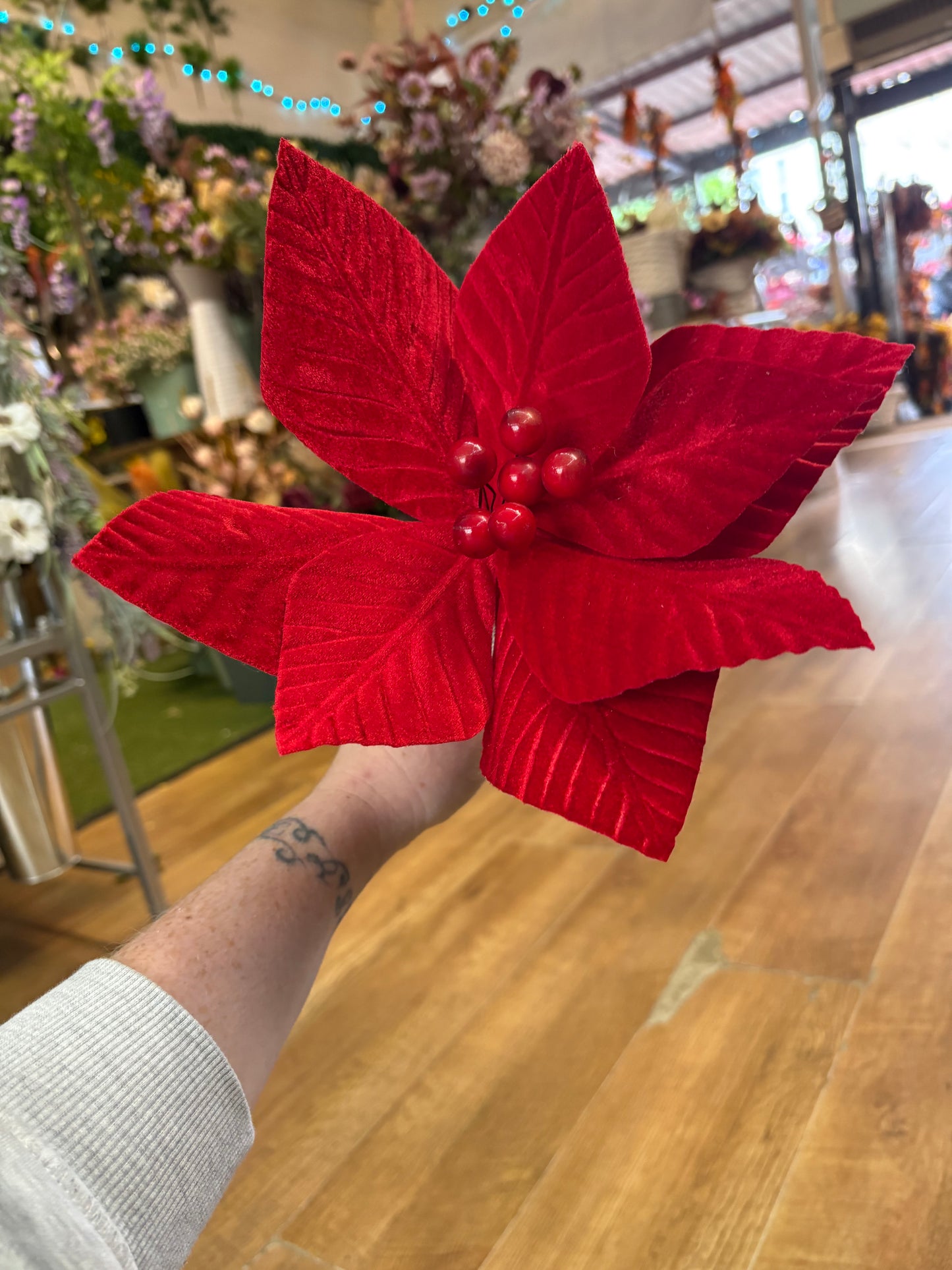 Short stem red velvet single poinsettia