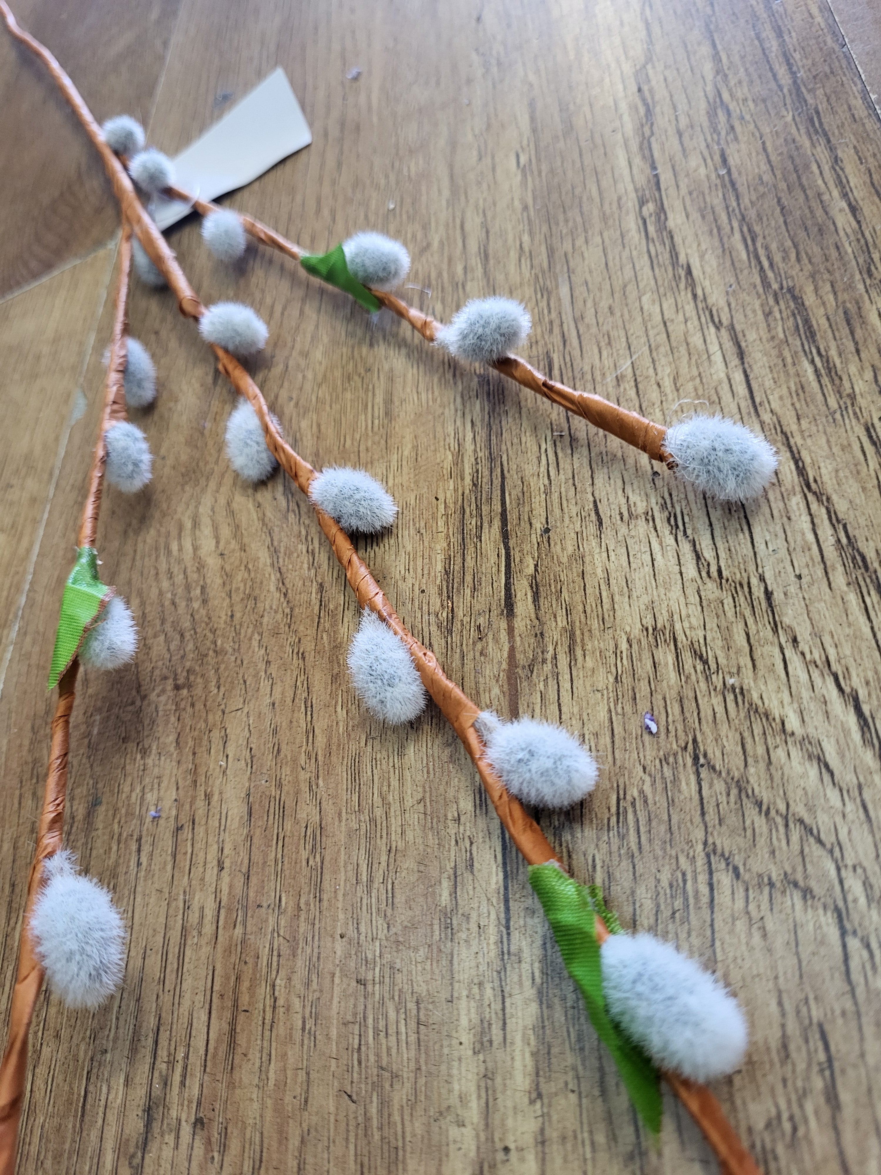 Long stem willow branch image 0