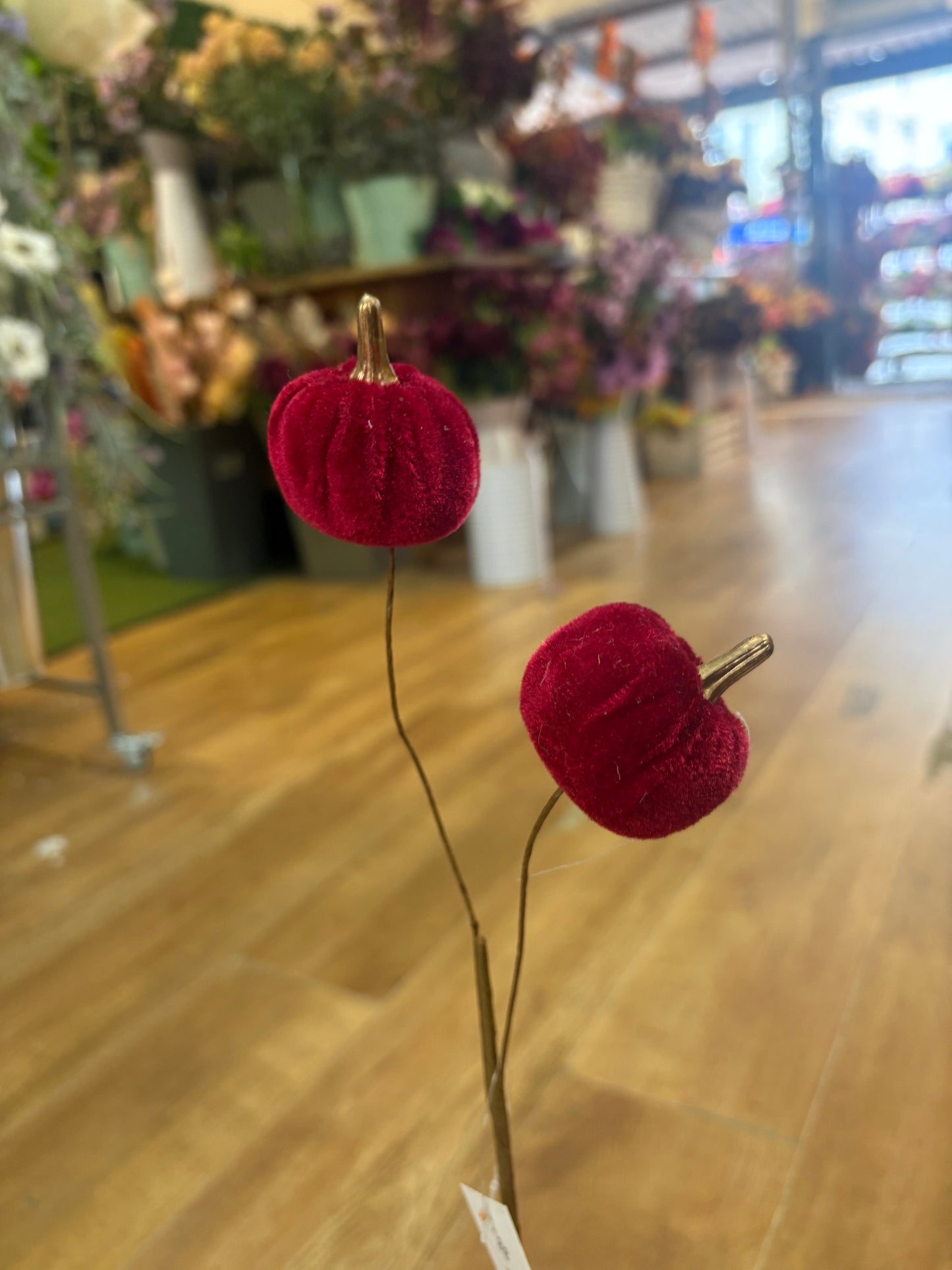Burgundy velvet pumpkin stem