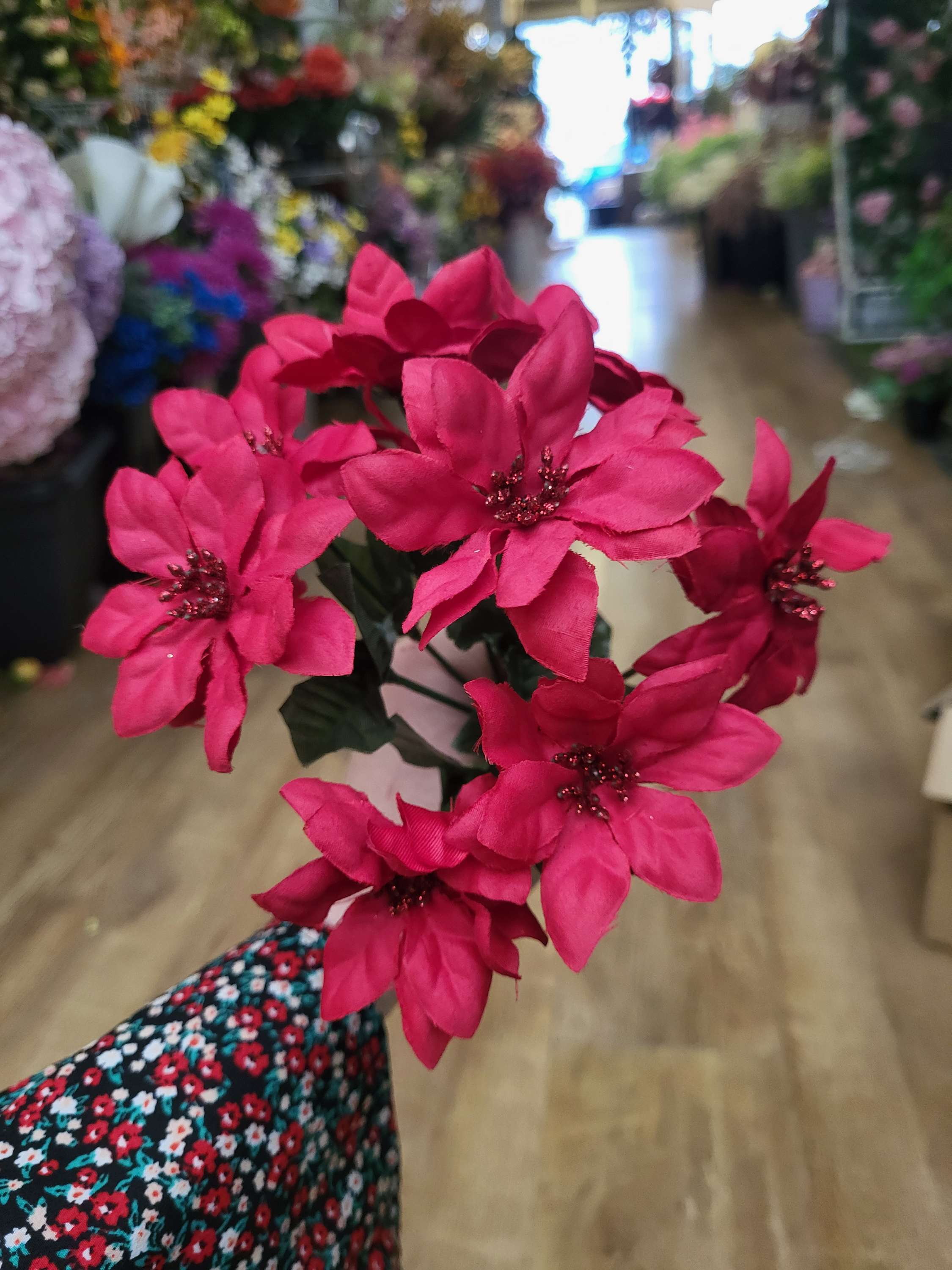 Mini poinsettia bunch - 4 colours available image 2