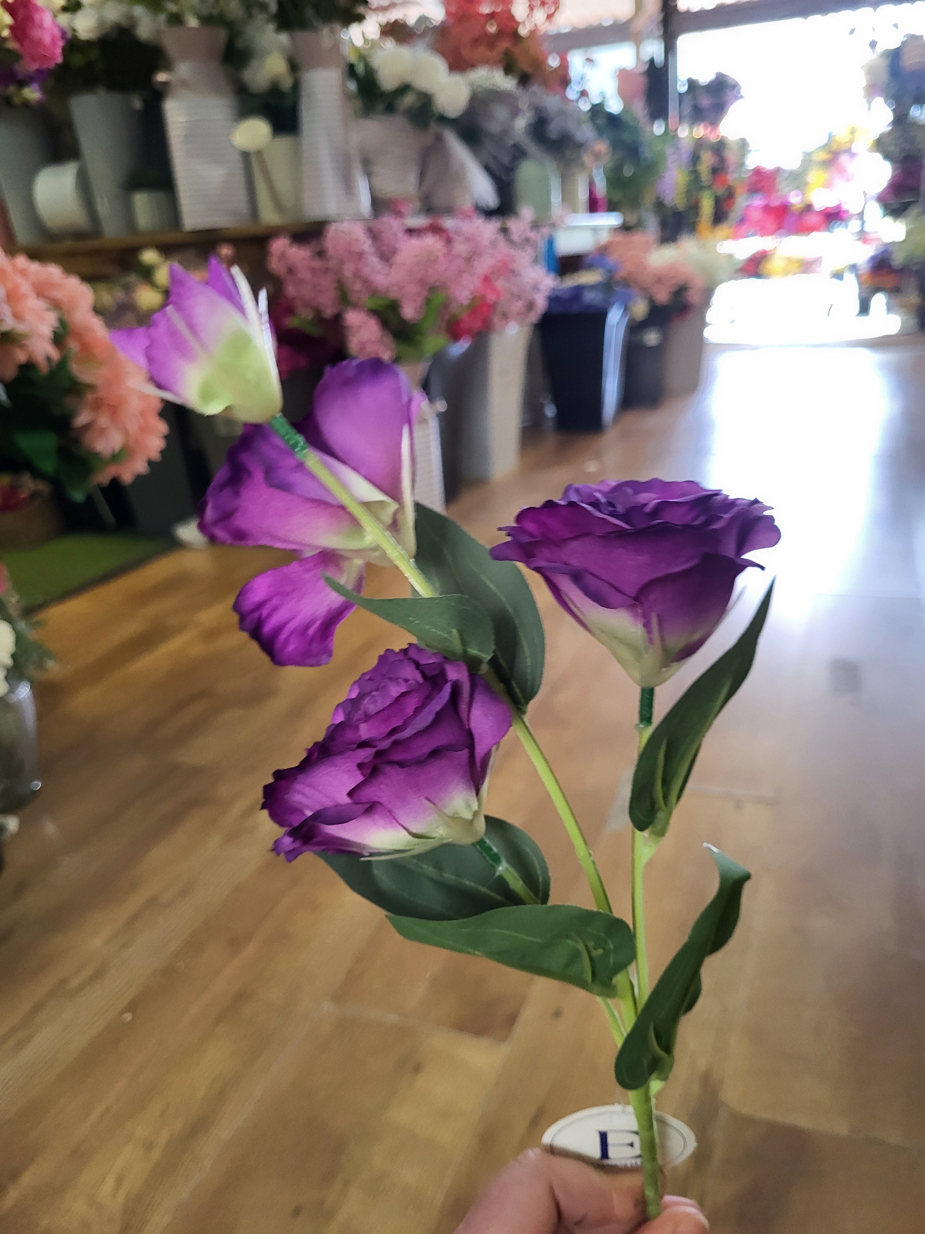 Long stem purple lisianthus  image 3