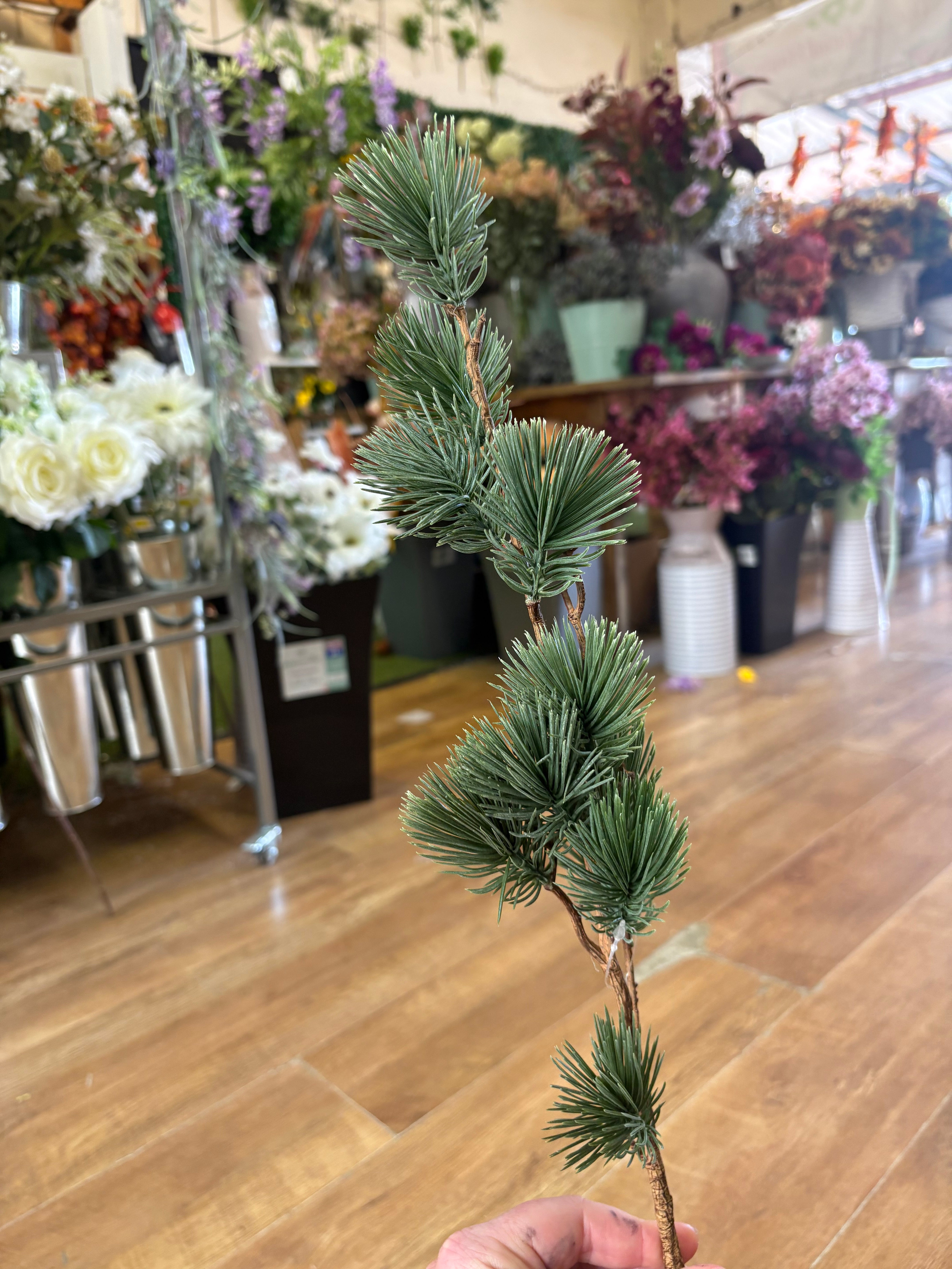 Long stem round cedar pine spray
