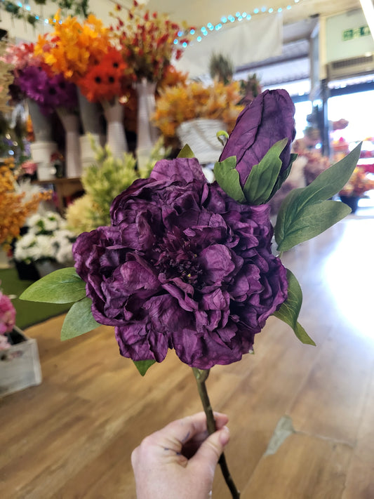 Dried inspired Purple open peony  image 0