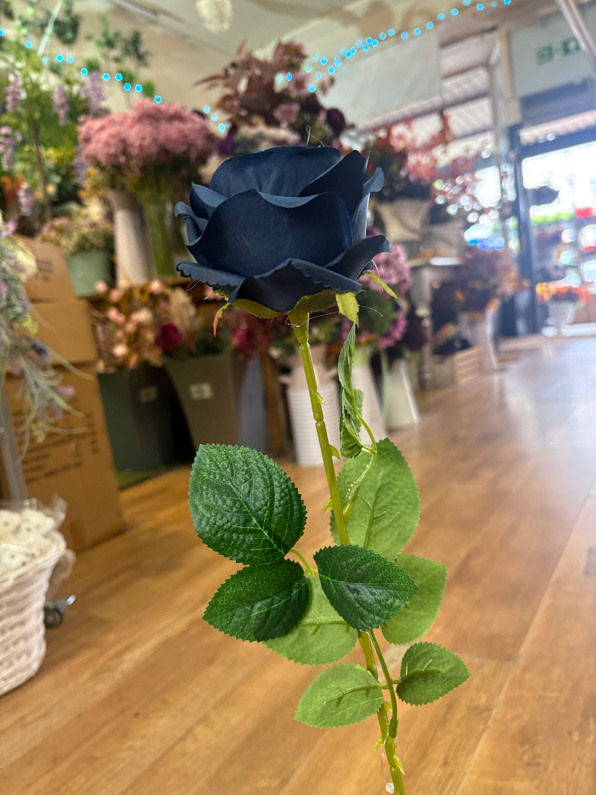 Single Navy harper rose