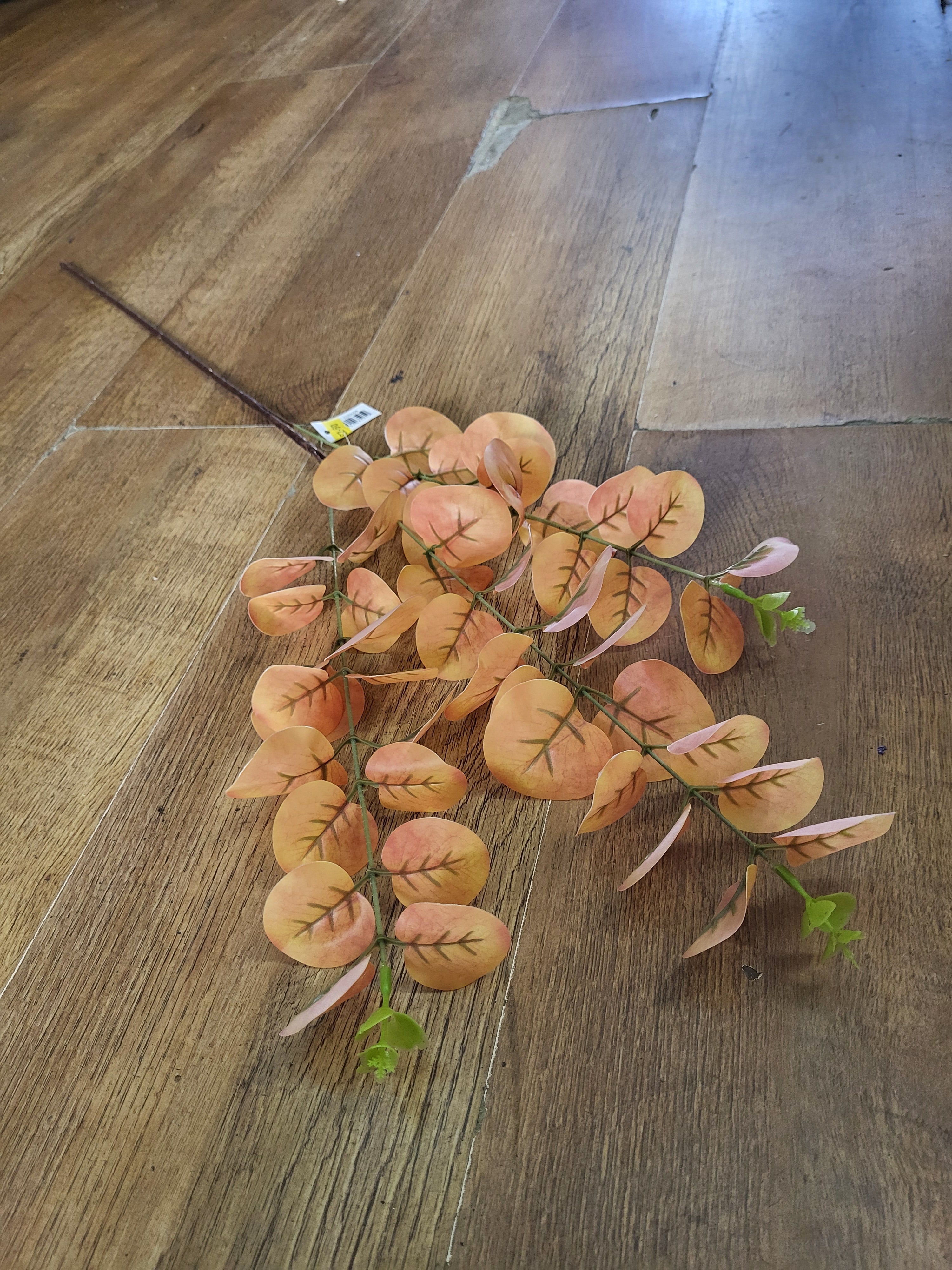 Long stem orange/yellow eucalyptus spray image 0