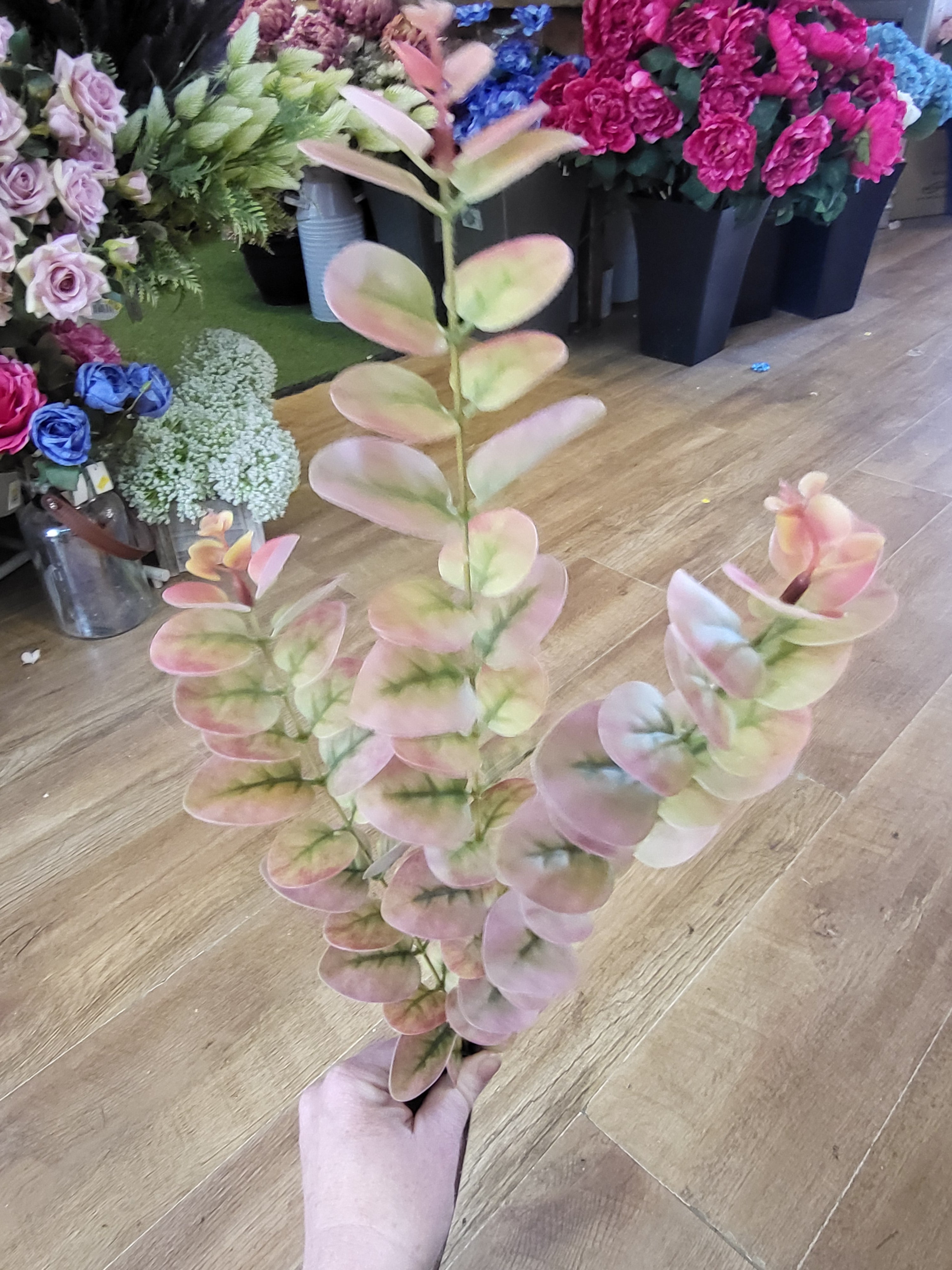 Long stem dark pink and green eucalyptus spray image 0