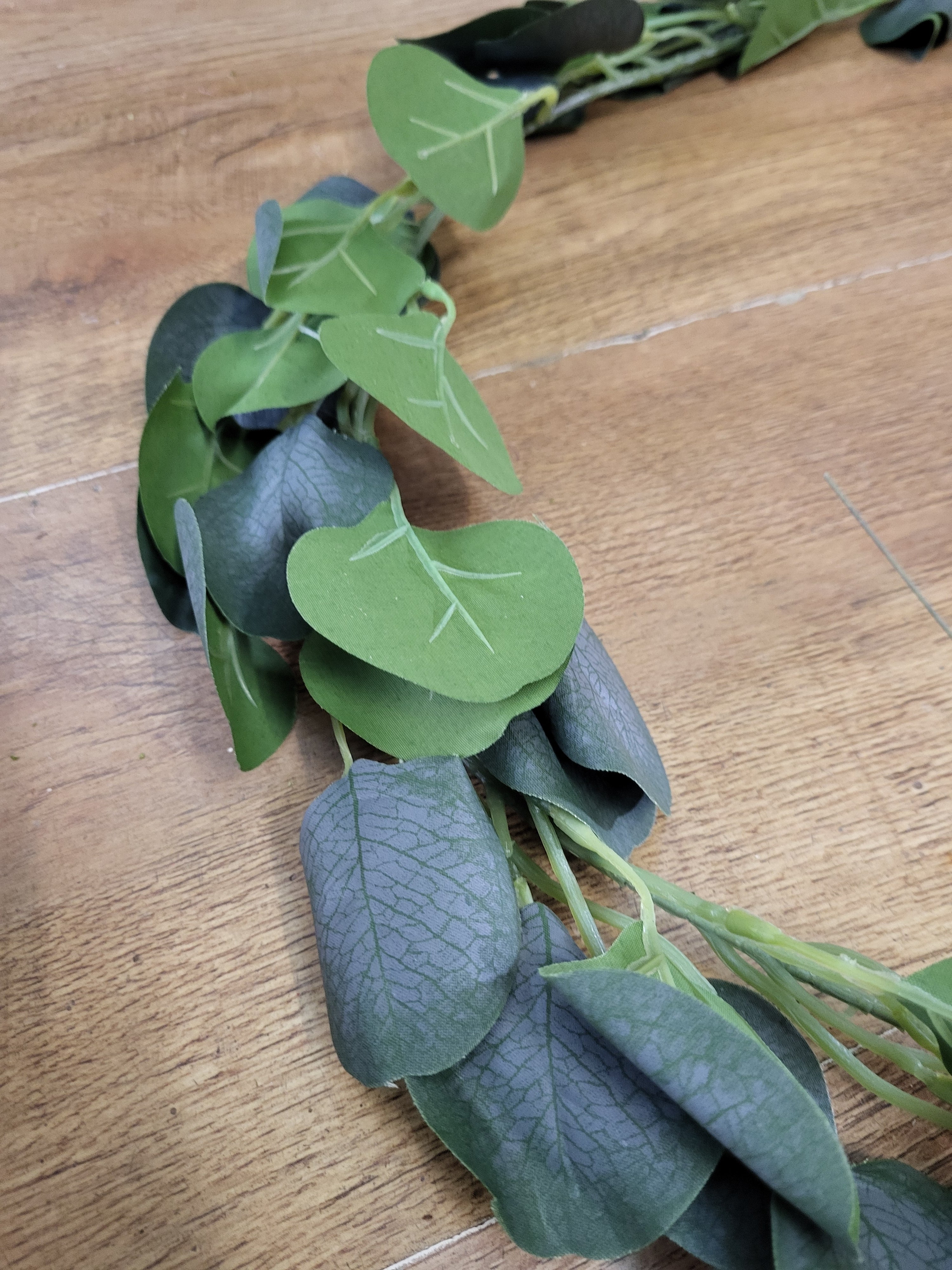 Silver dollar eucalyptus garland  image 2