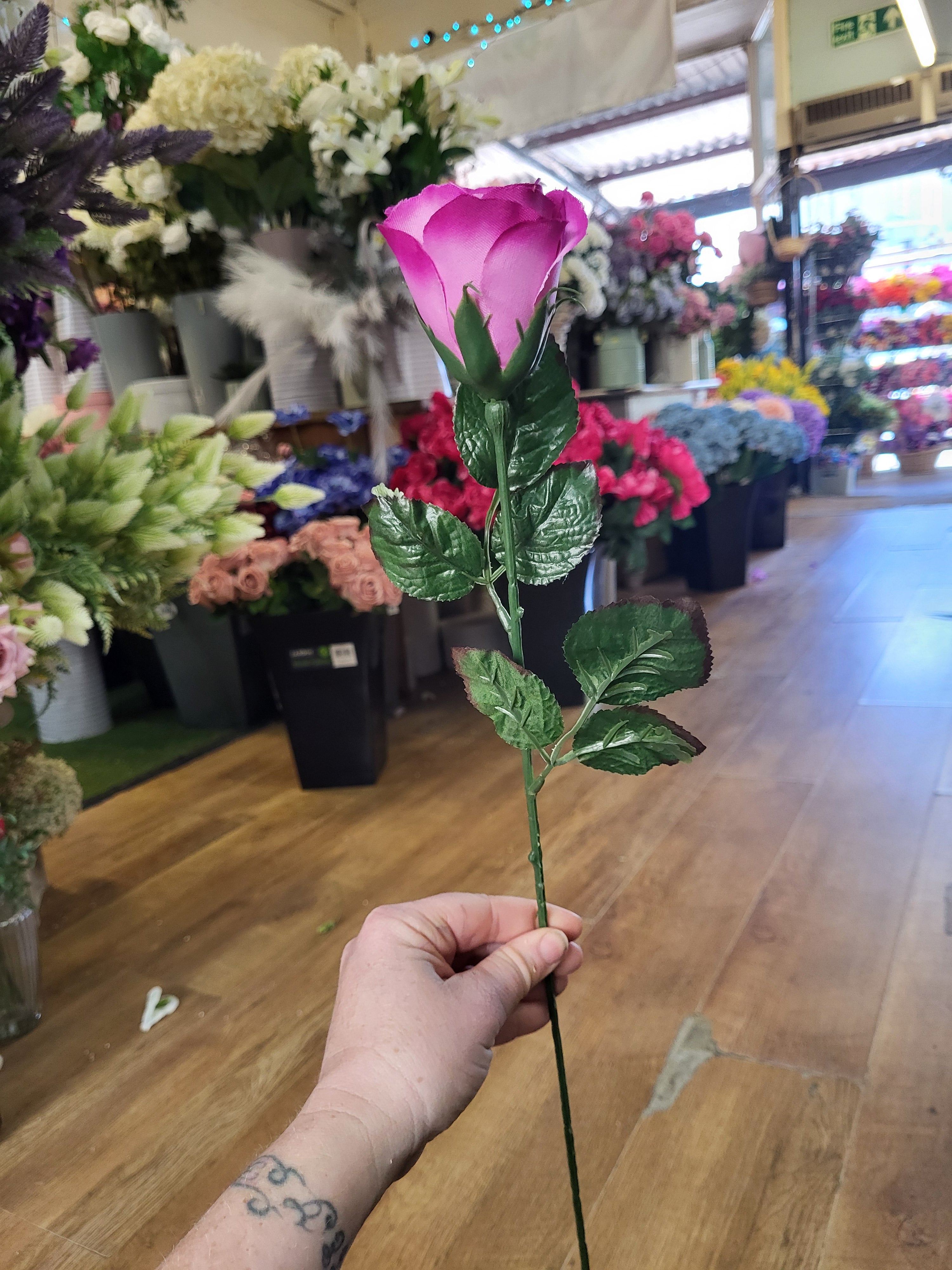 Bundle of 10 long stem raspberry closed roses image 3