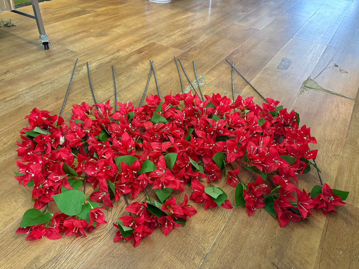 Bundle of 10 long stem red bougainvillea