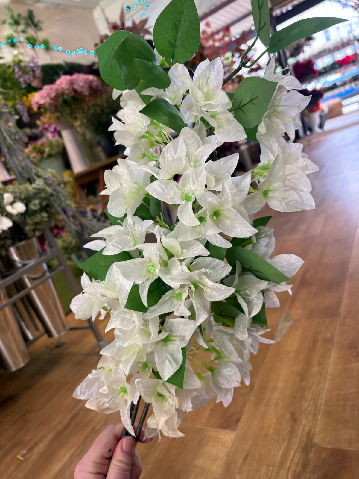 Long stem red and white clearance bundle