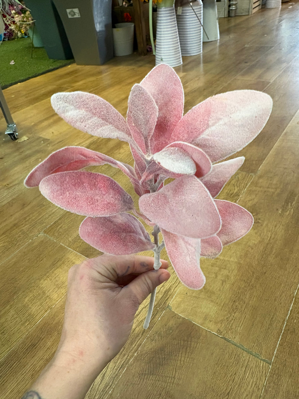 Rouge lambs ear pick