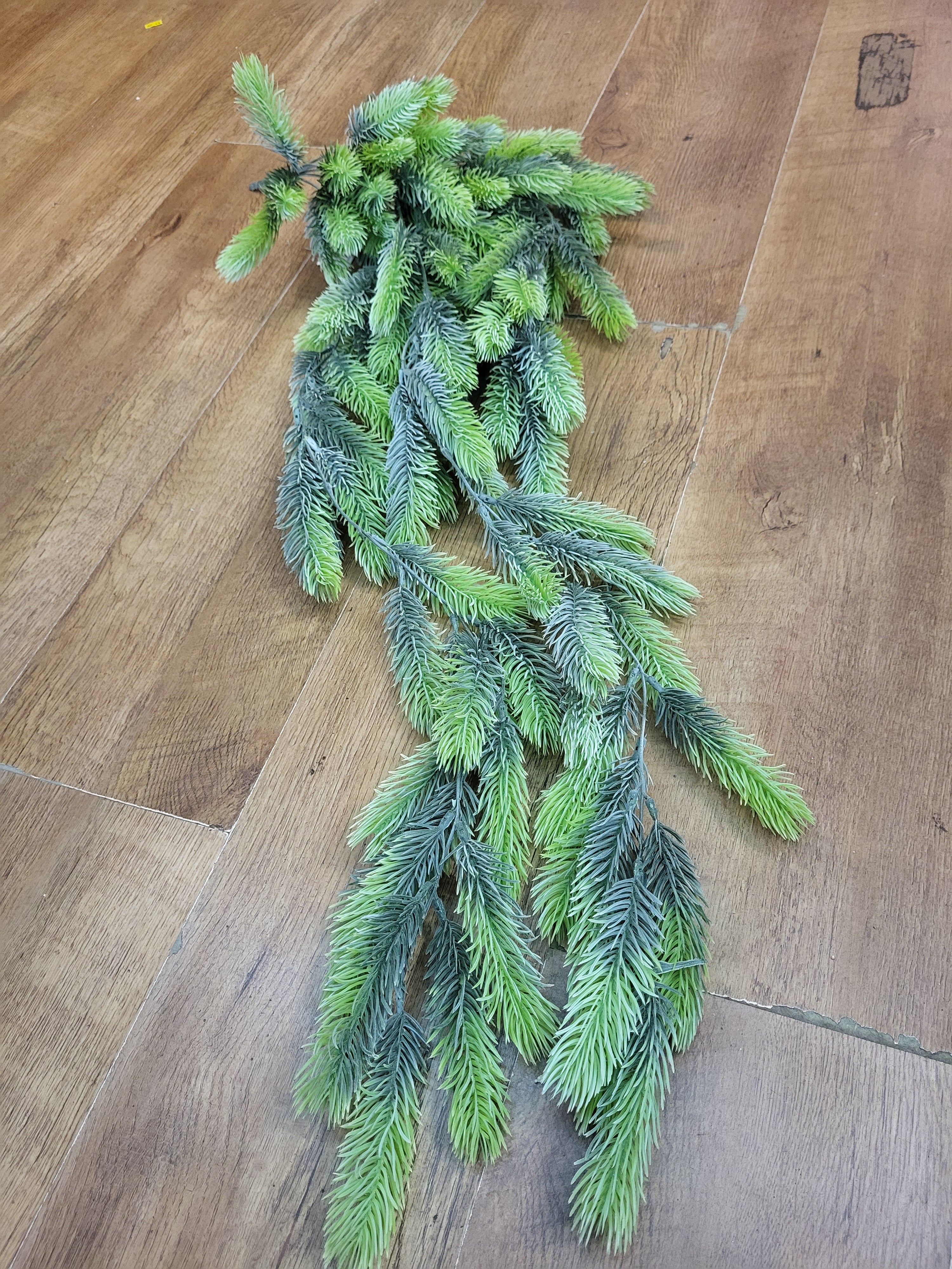 Hanging/trailing Bushy Natural green winter spruce image 5