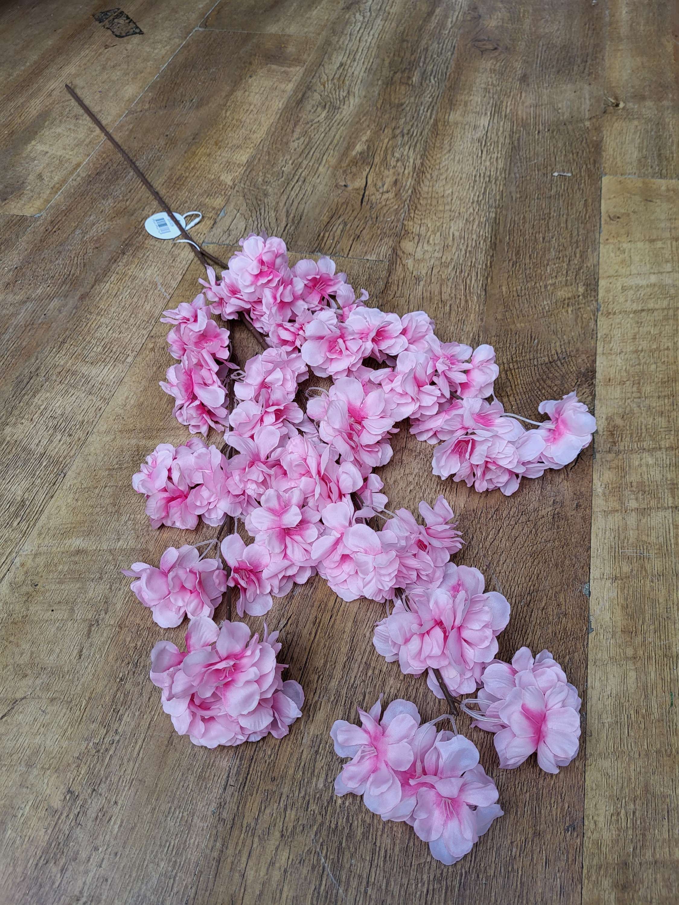 Long stem pink cherry blossom branch image 1