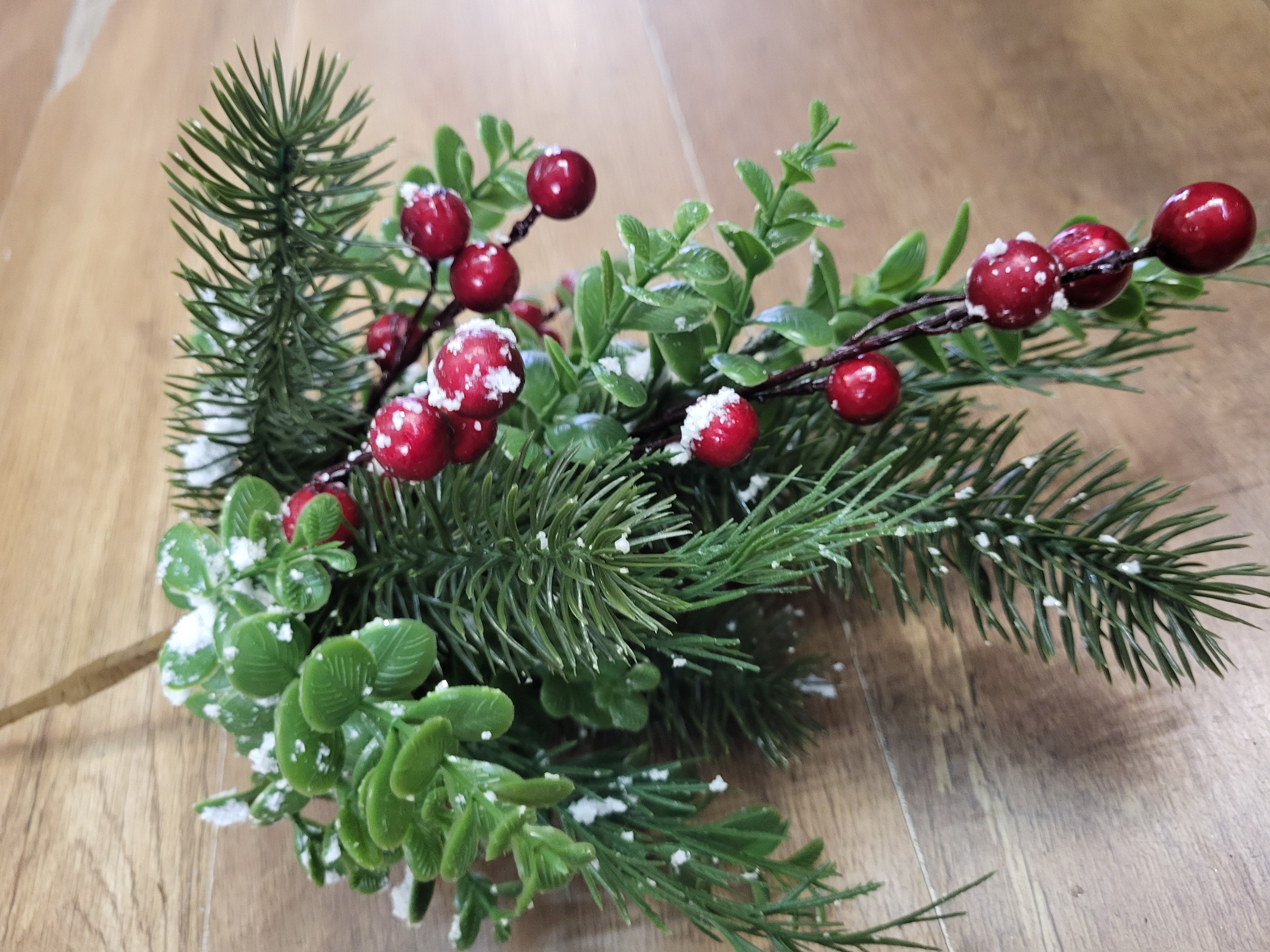 Snowberry/eucalyptus/pine bush image 7