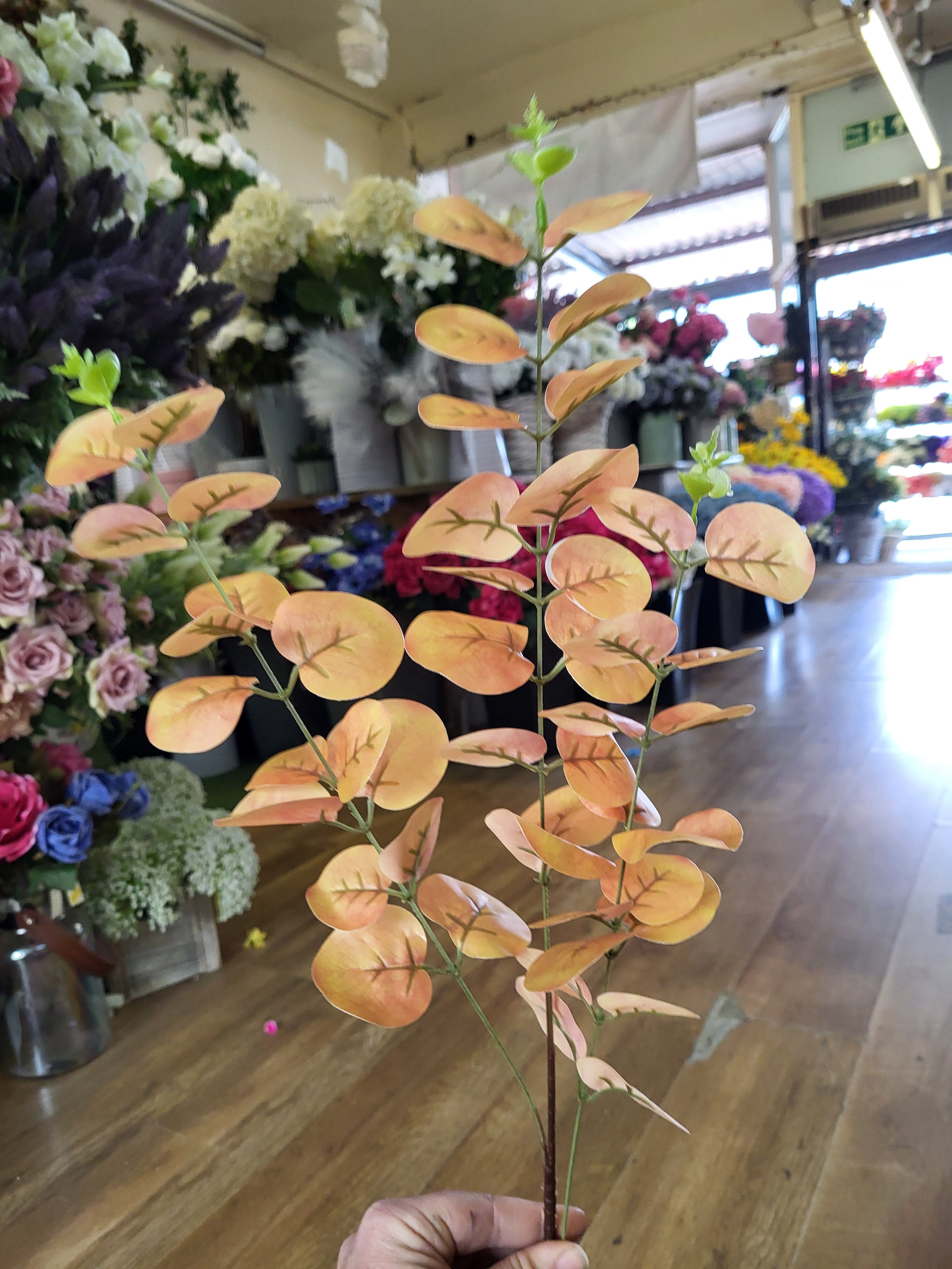 Long stem orange/yellow eucalyptus spray image 4