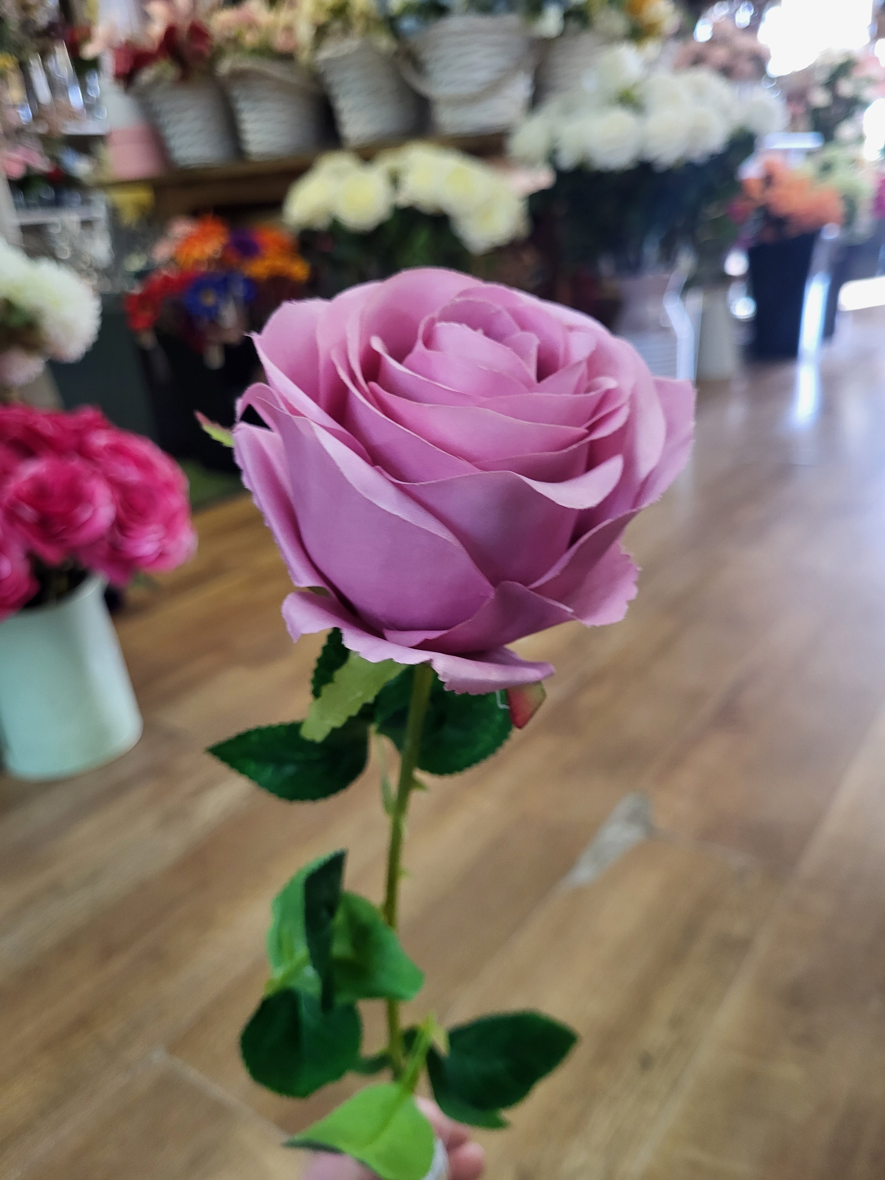 Single blush Harper rose image 2