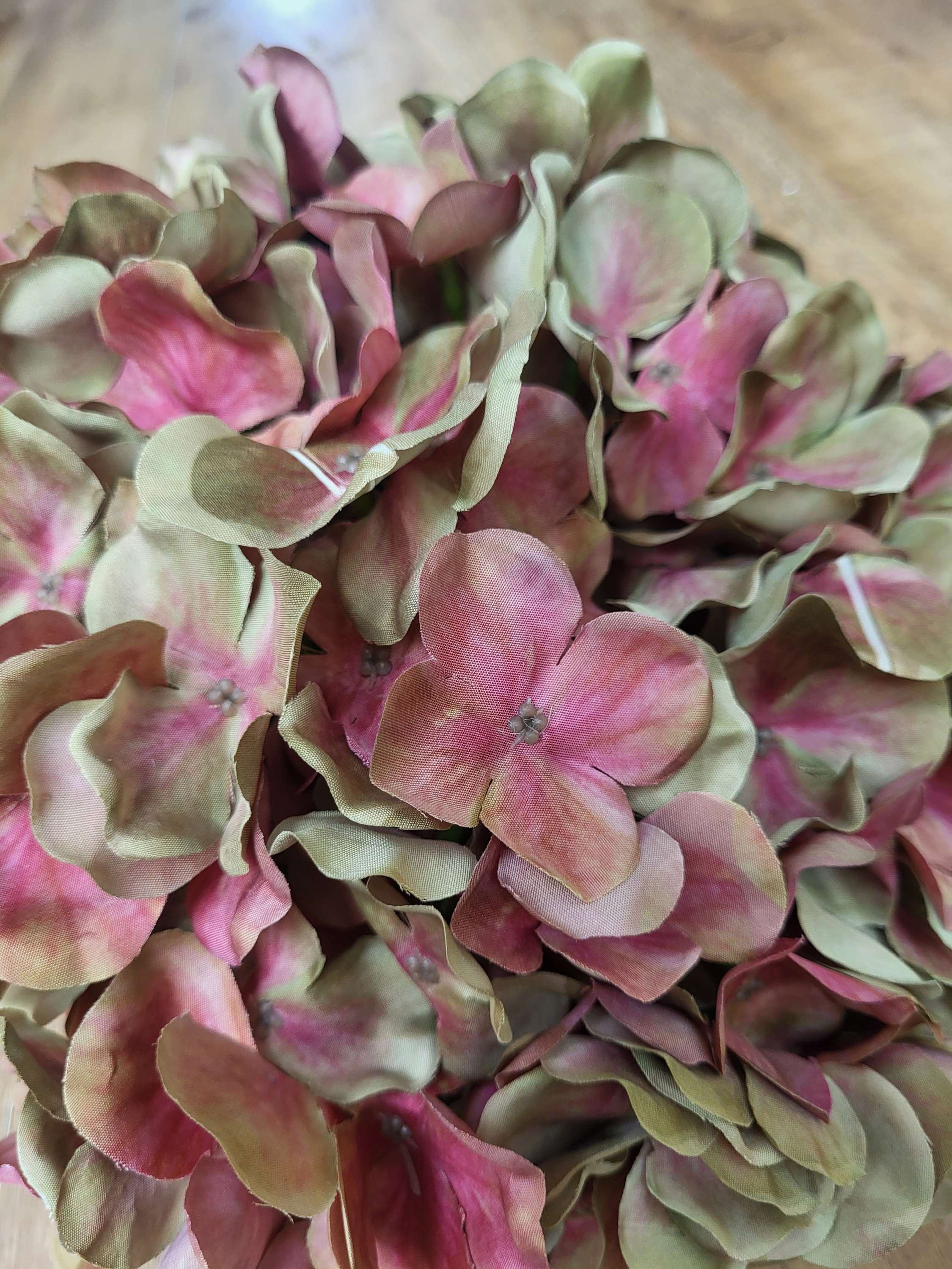 Giant head green/pink  premium hydrangea  image 3