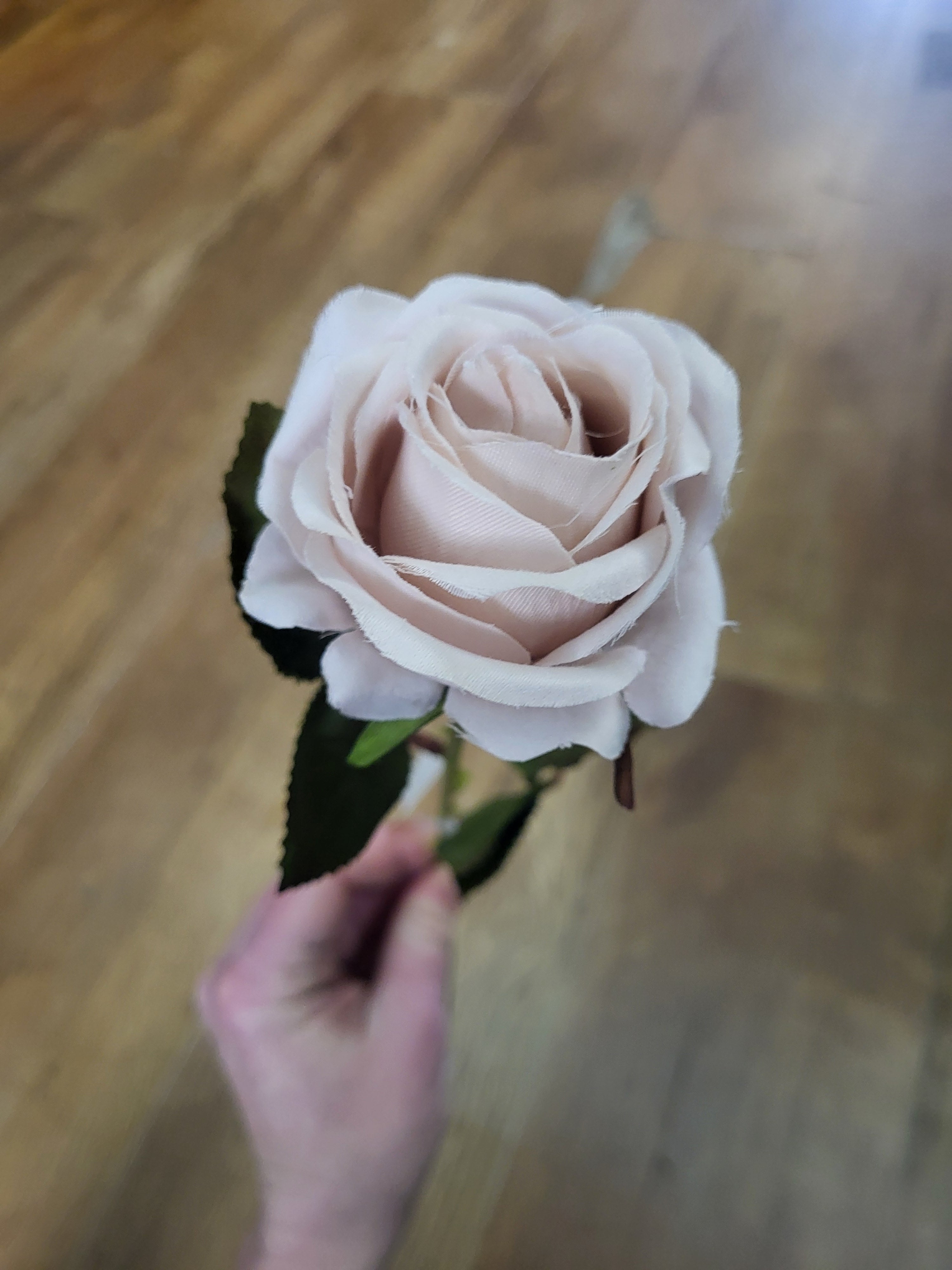 Nude Amira Rose stem image 1