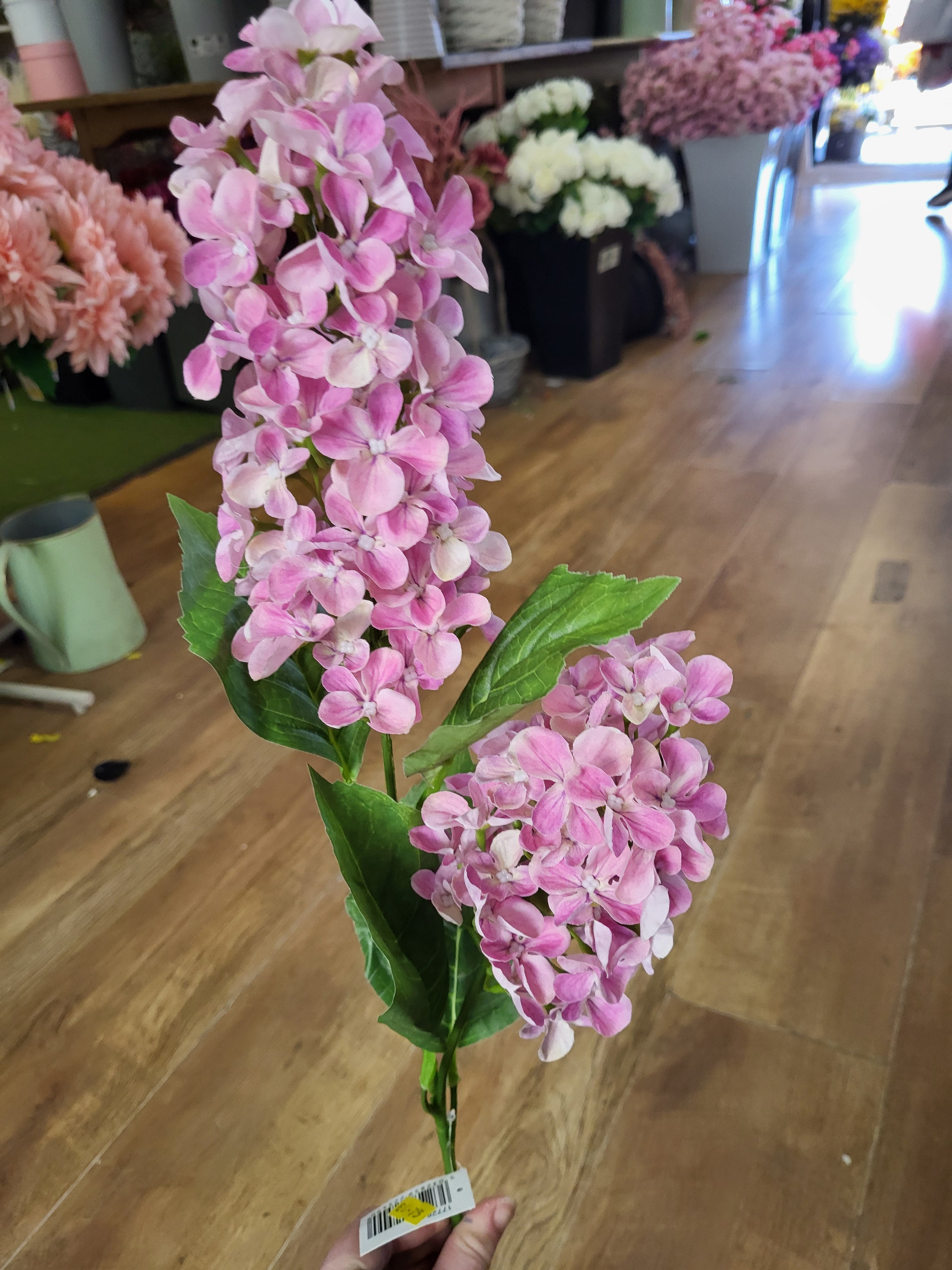 Long stem light pink paniculata hydrangea  image 3