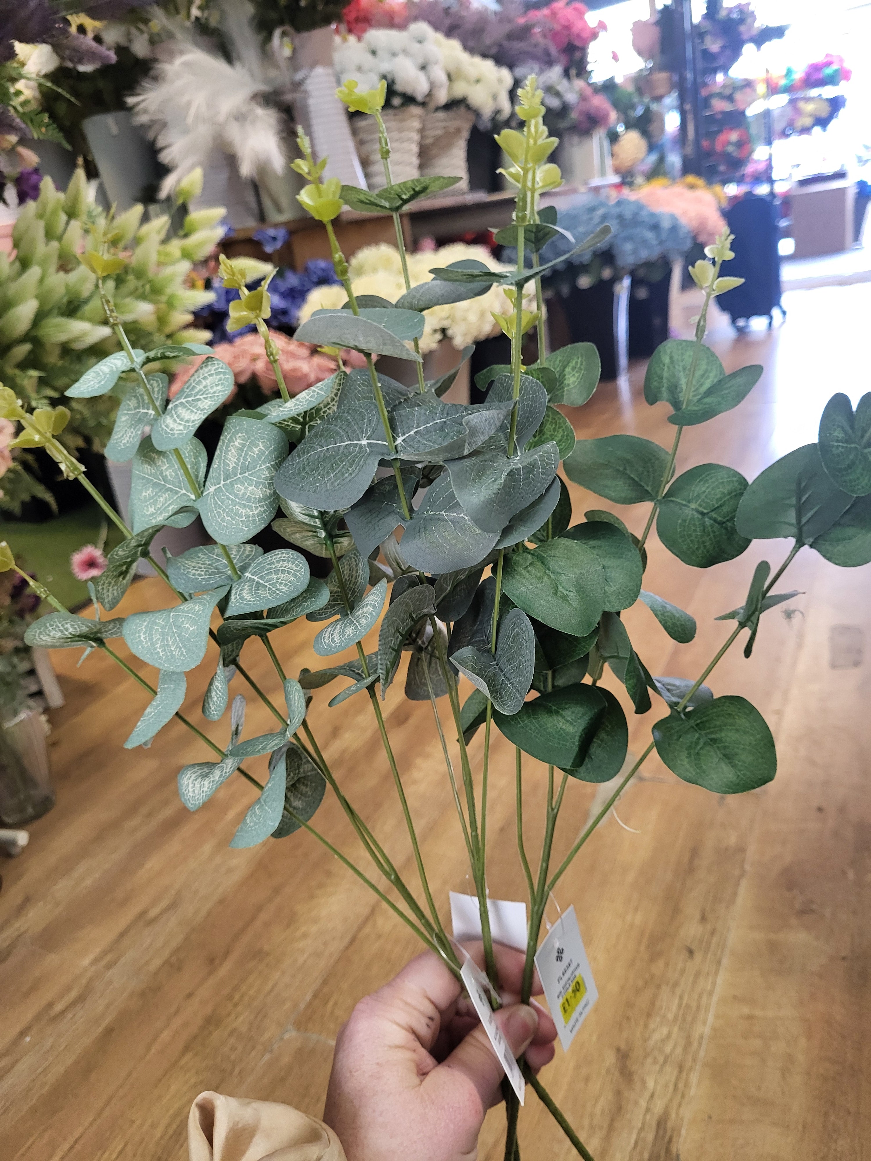 Long stem eucalyptus  - 3 shades available image 1