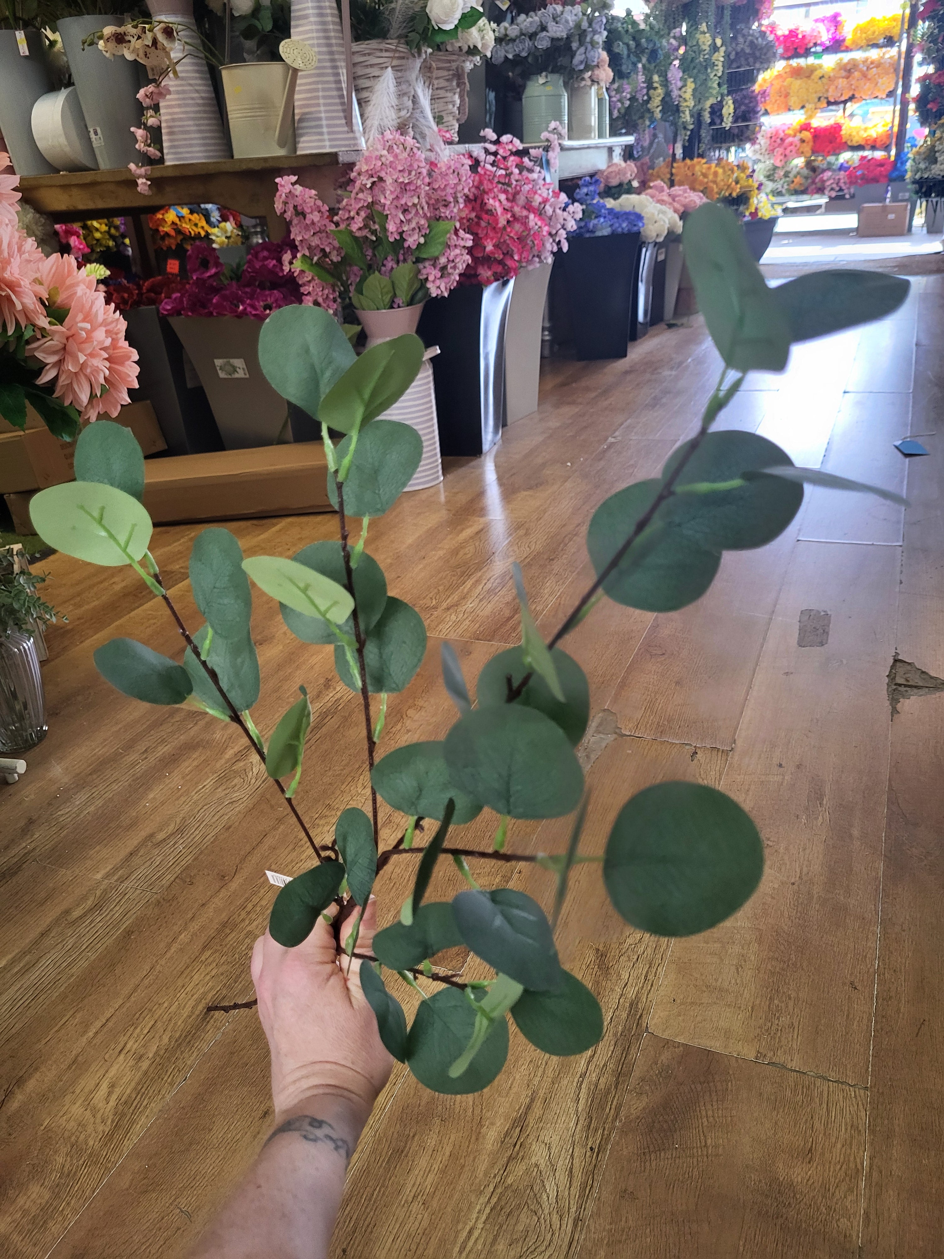 Long stem eucalyptus spray image 2