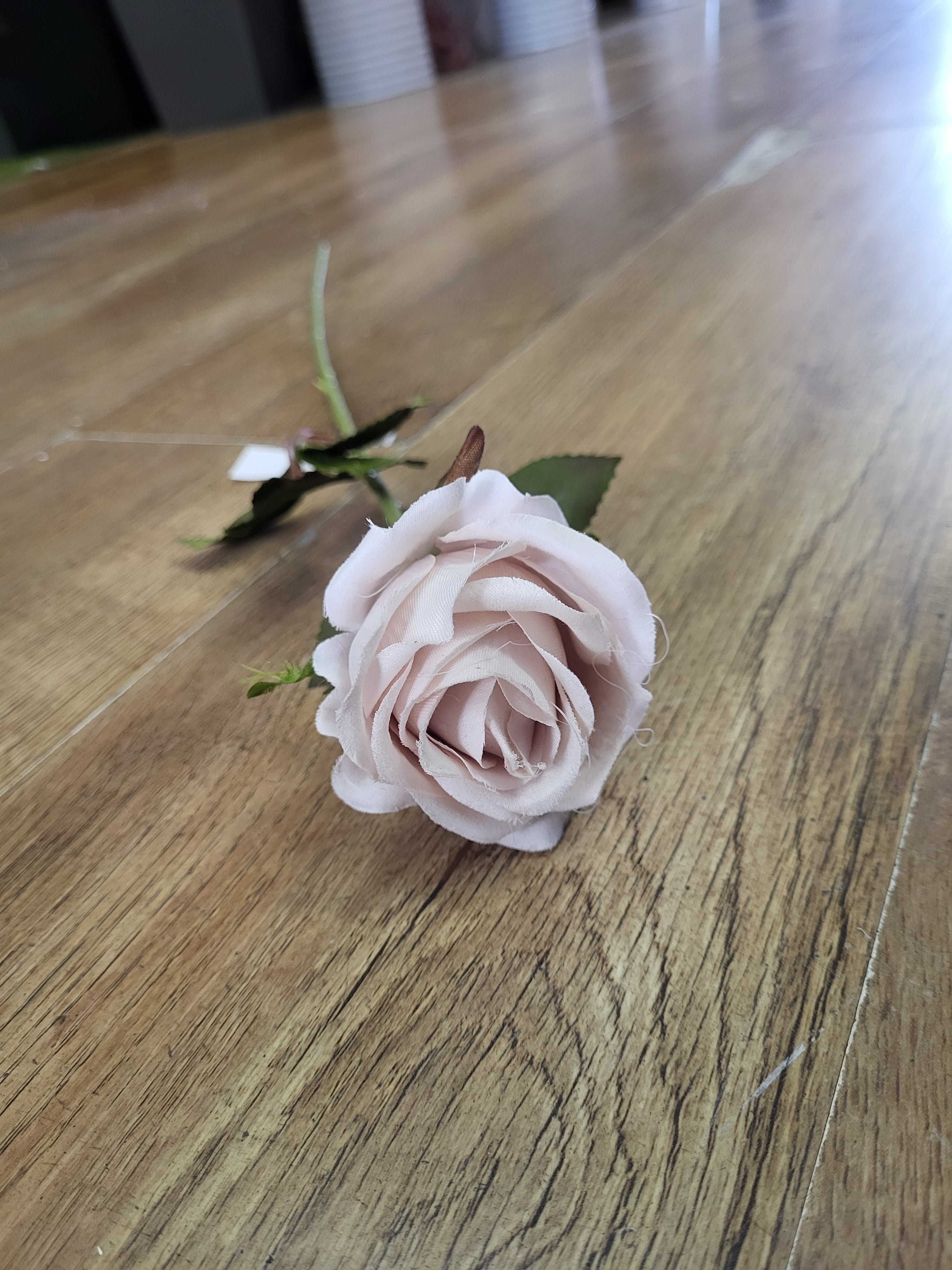 Nude Amira Rose stem image 0