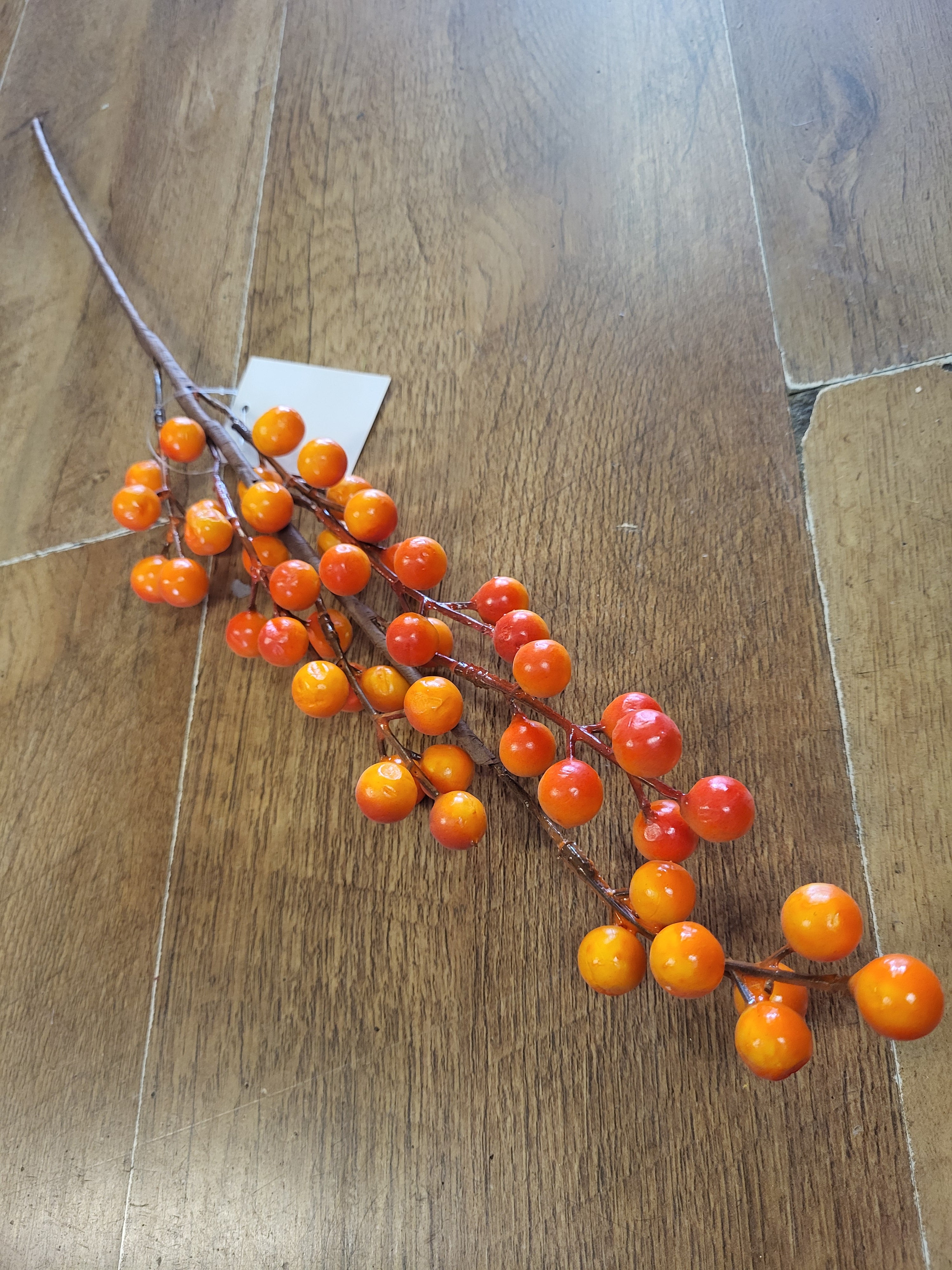 Orange berry stem image 0