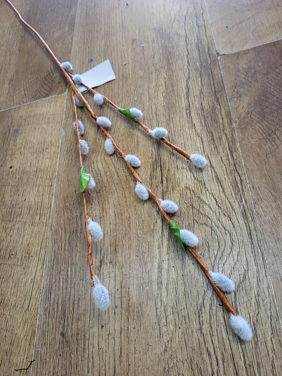 Long stem willow branch image 1